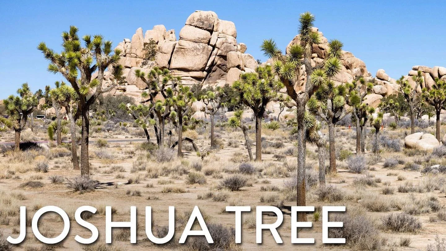 Getting excited for LYFT tonight. Here’s some slides. Curious about how they all fit in? Come and SEE.