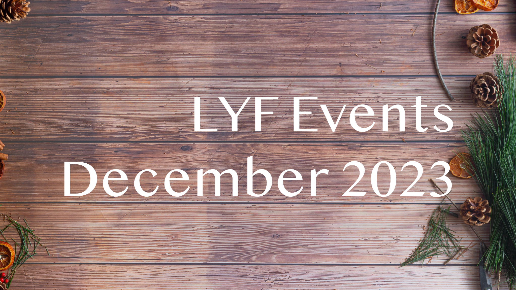 LYF Update December 2023