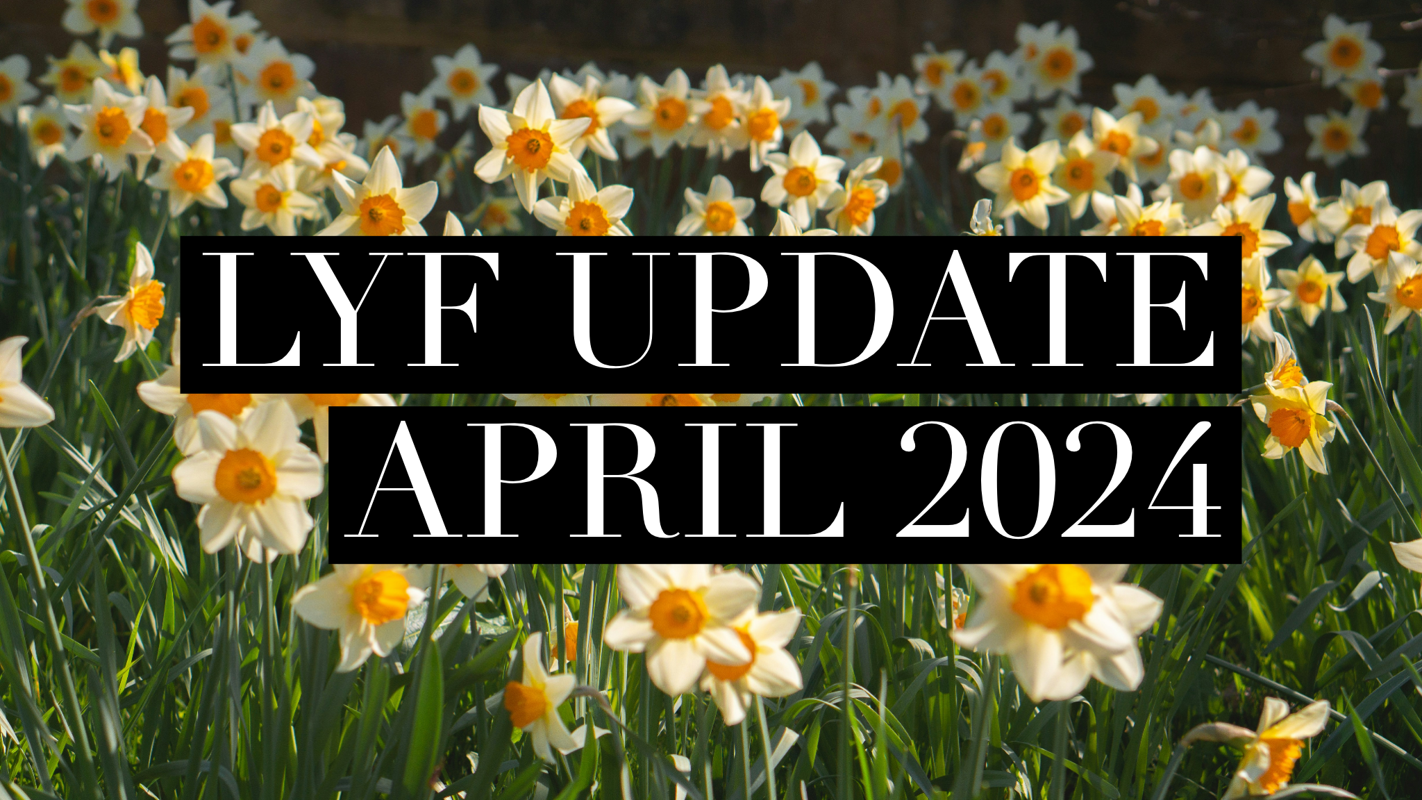 LYF Update