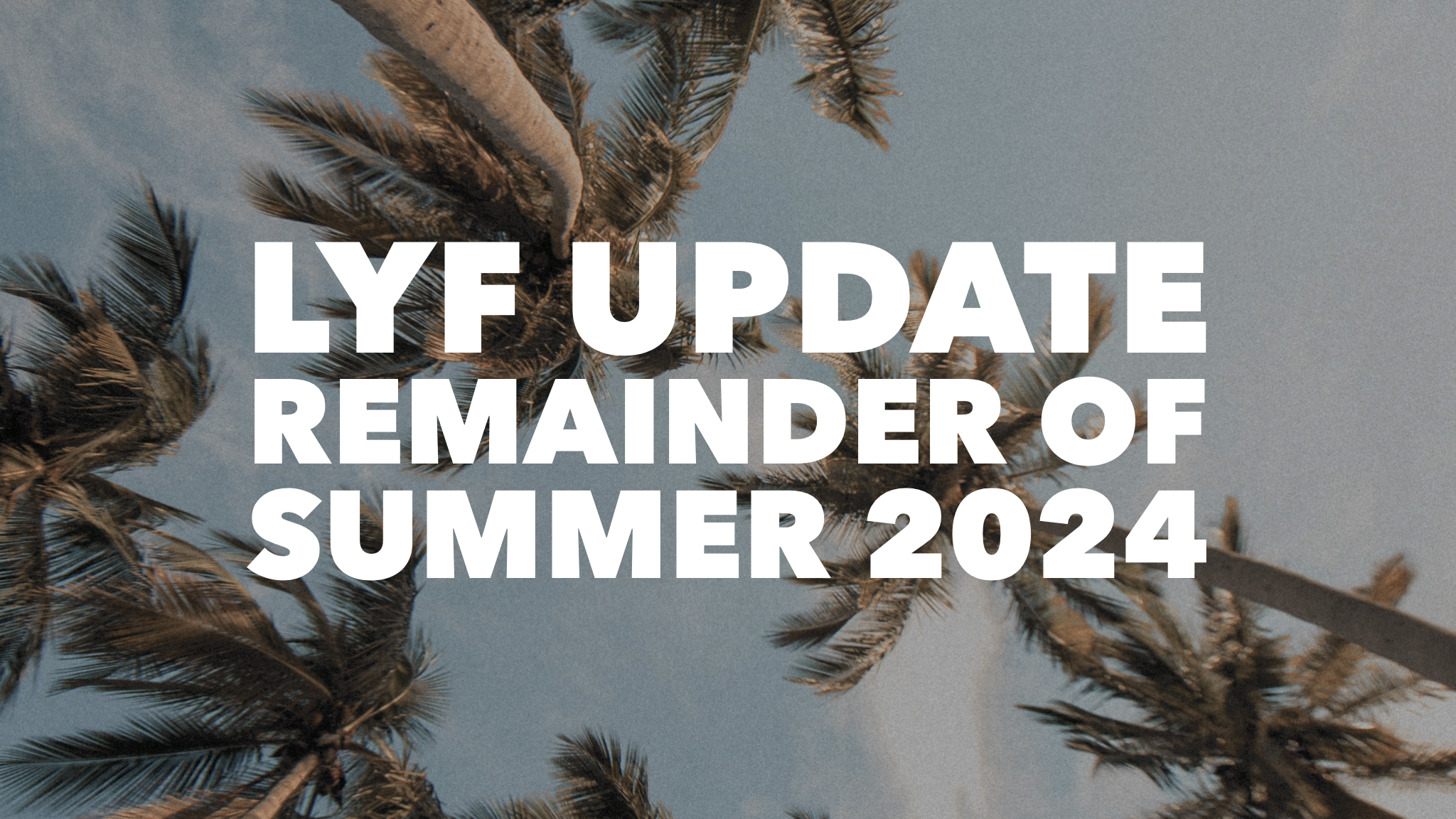 LYF Update (Rest of Summer 2024)