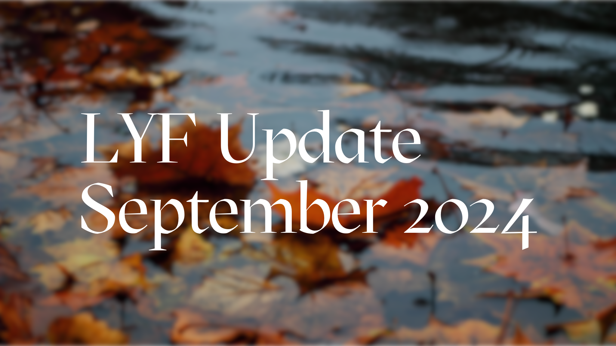 LYF Update September 2024
