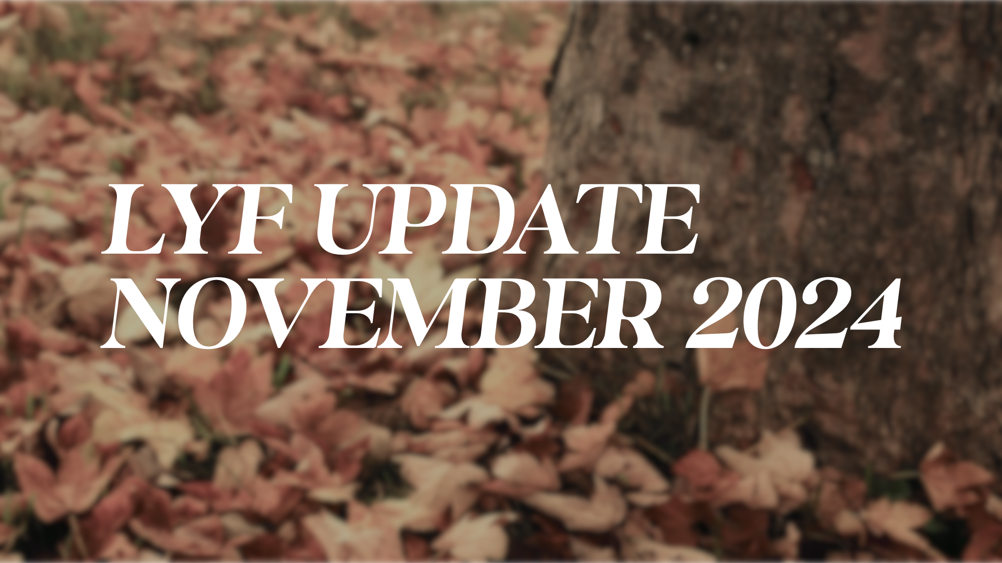 LYF Update November 2024