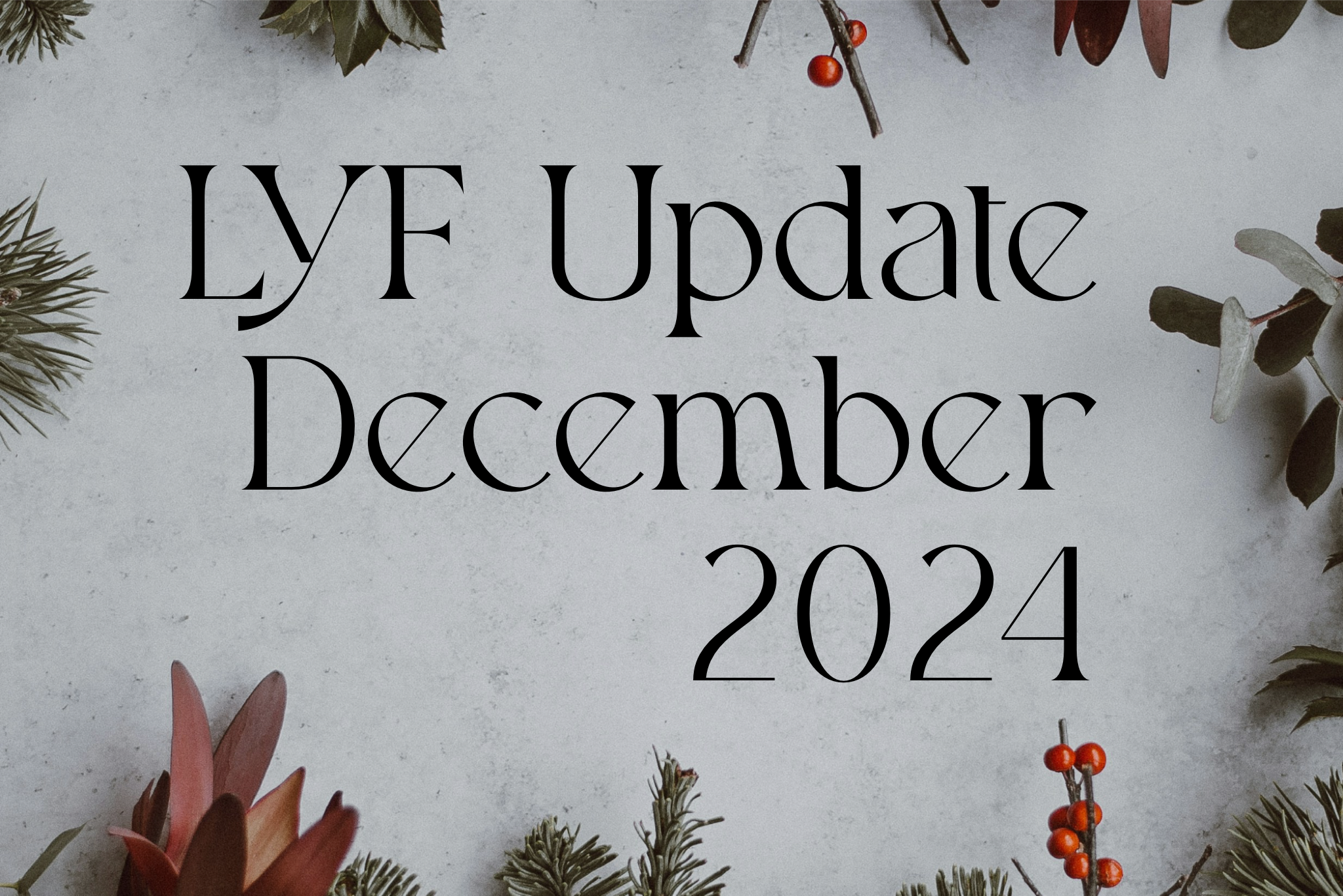 LYF Update December 2024