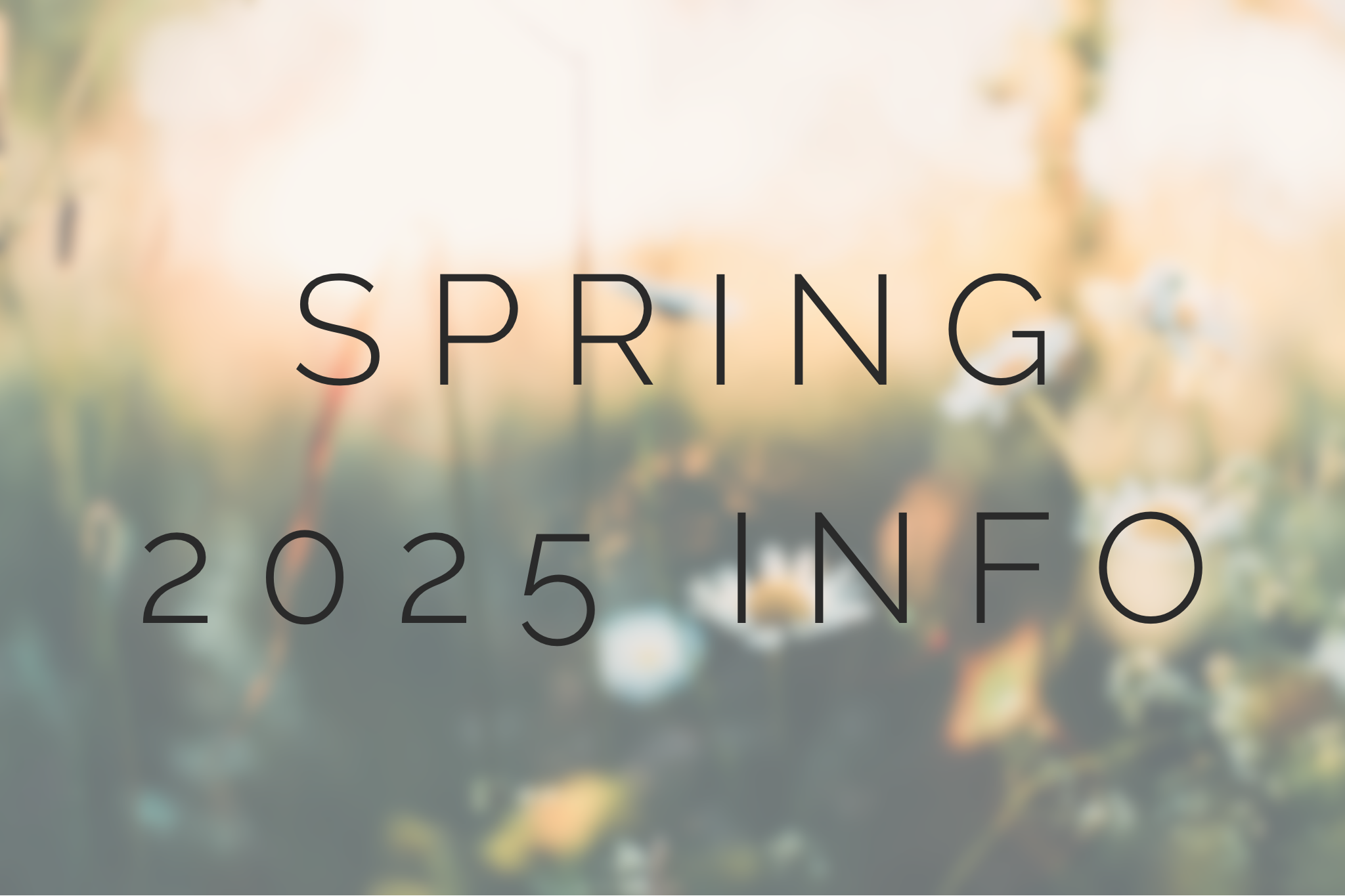 Spring 2025 Info