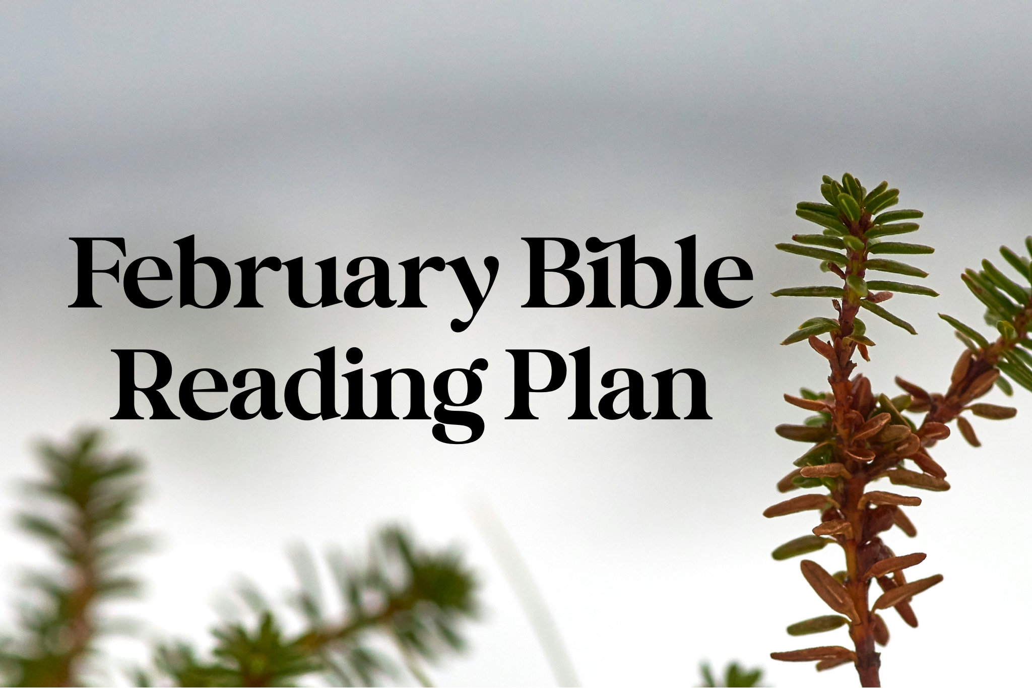 February Bible Reading Plan
