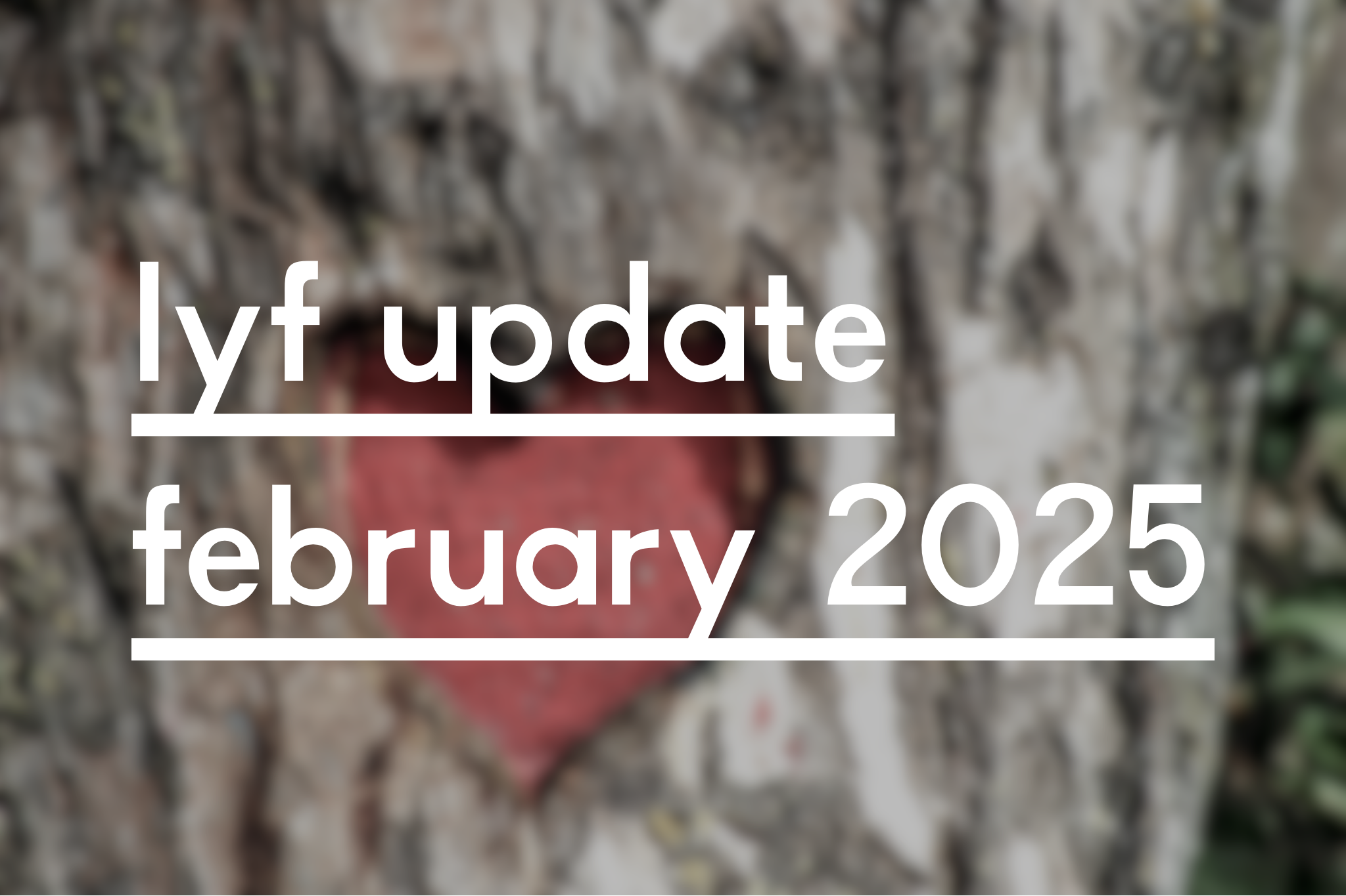 LYF Update February 2025