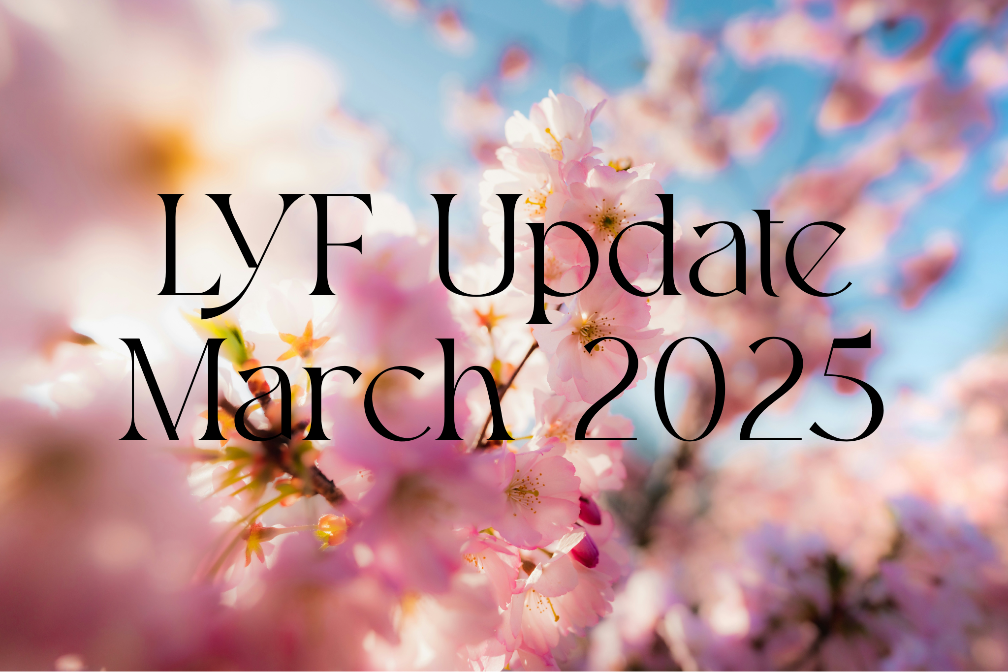 LYF Update March 2025
