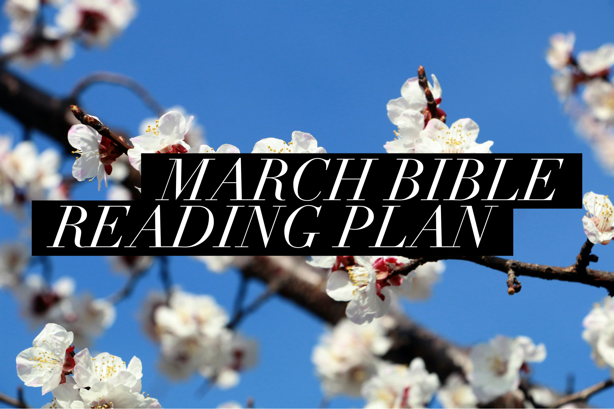 March Bible Reading Plan