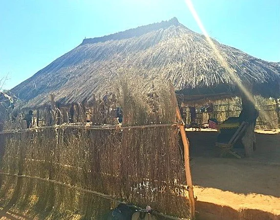Picture2.jpg