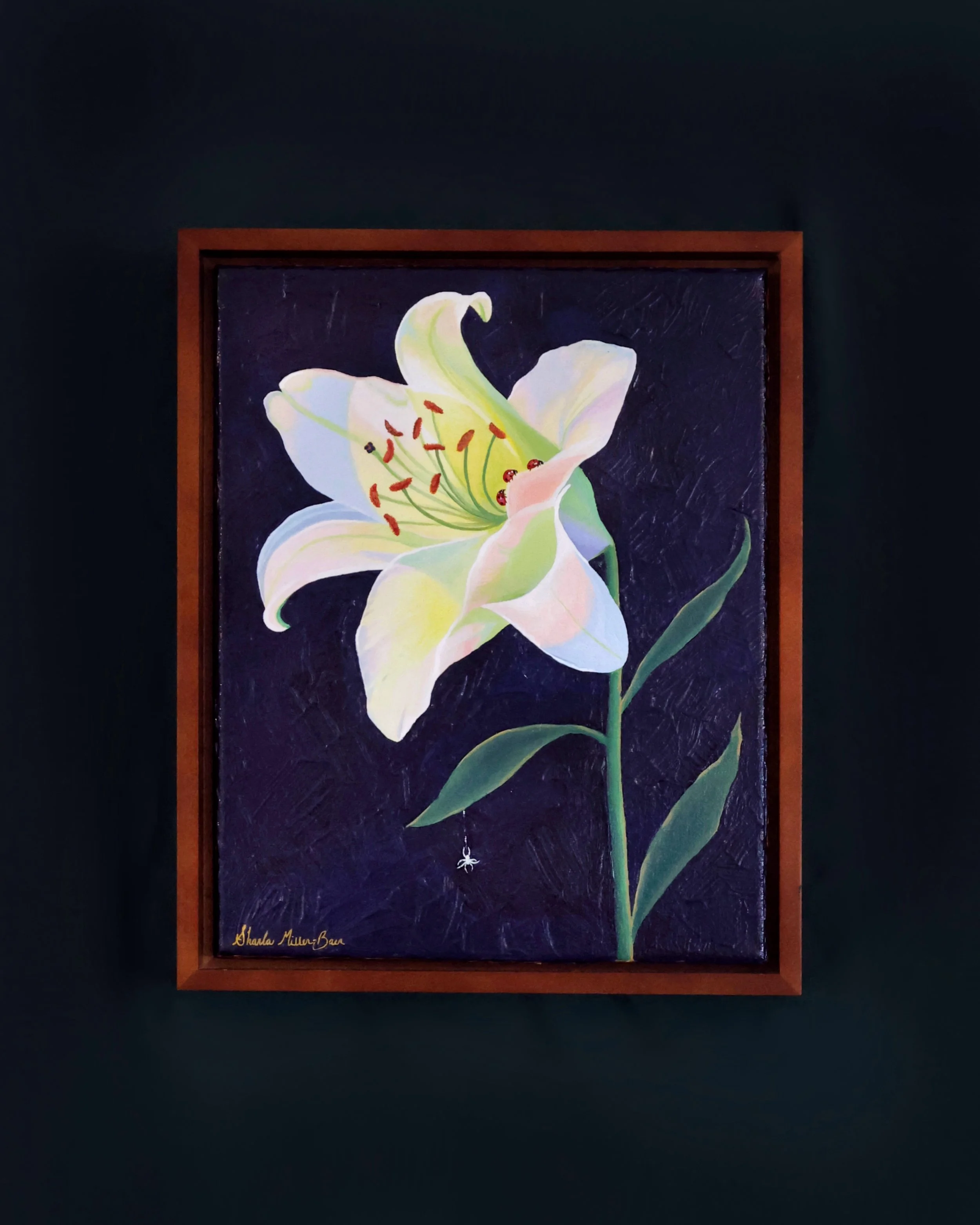 'The Lily' from the Colors of Summer Collection