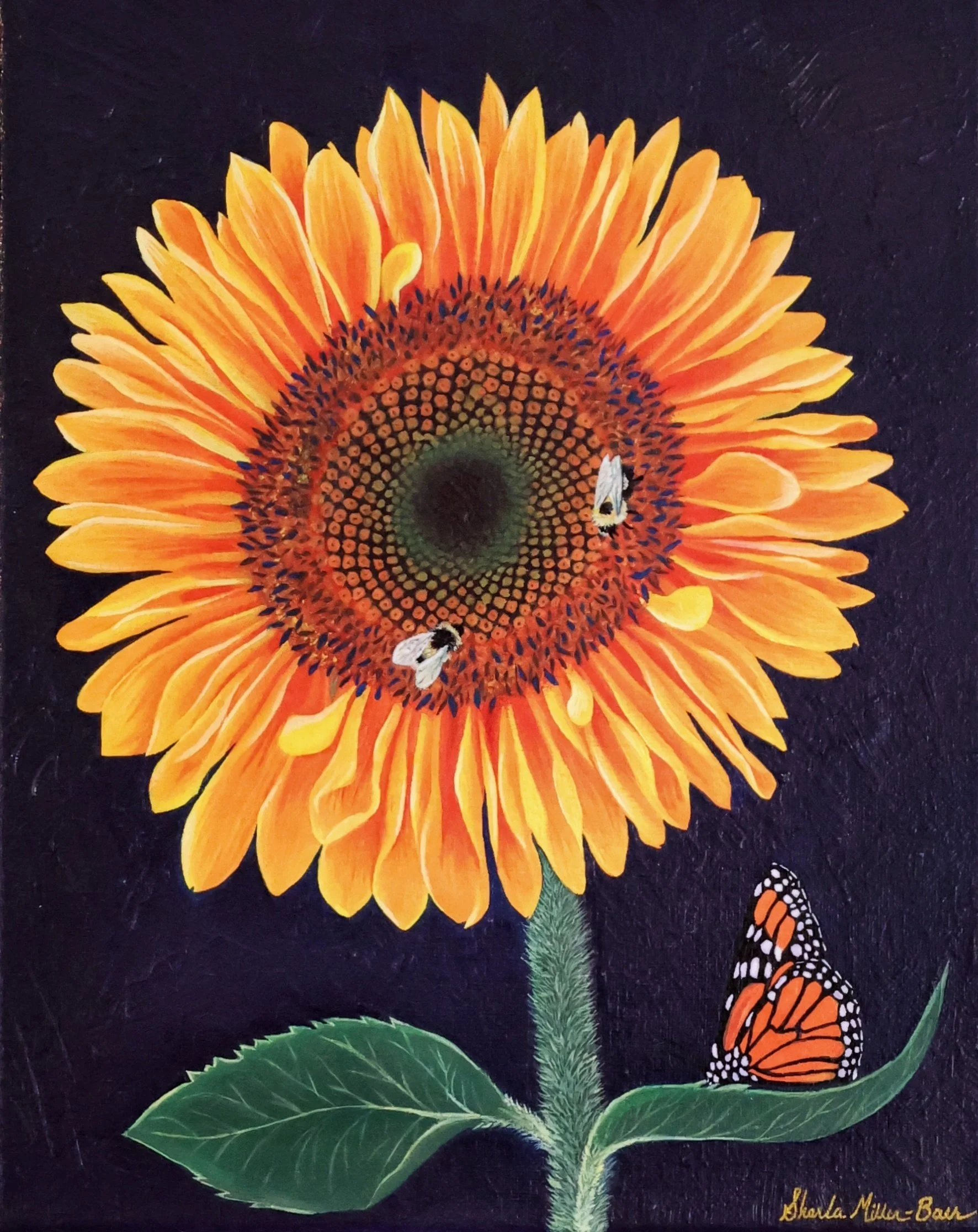 The Sunflower Detail Image.JPG