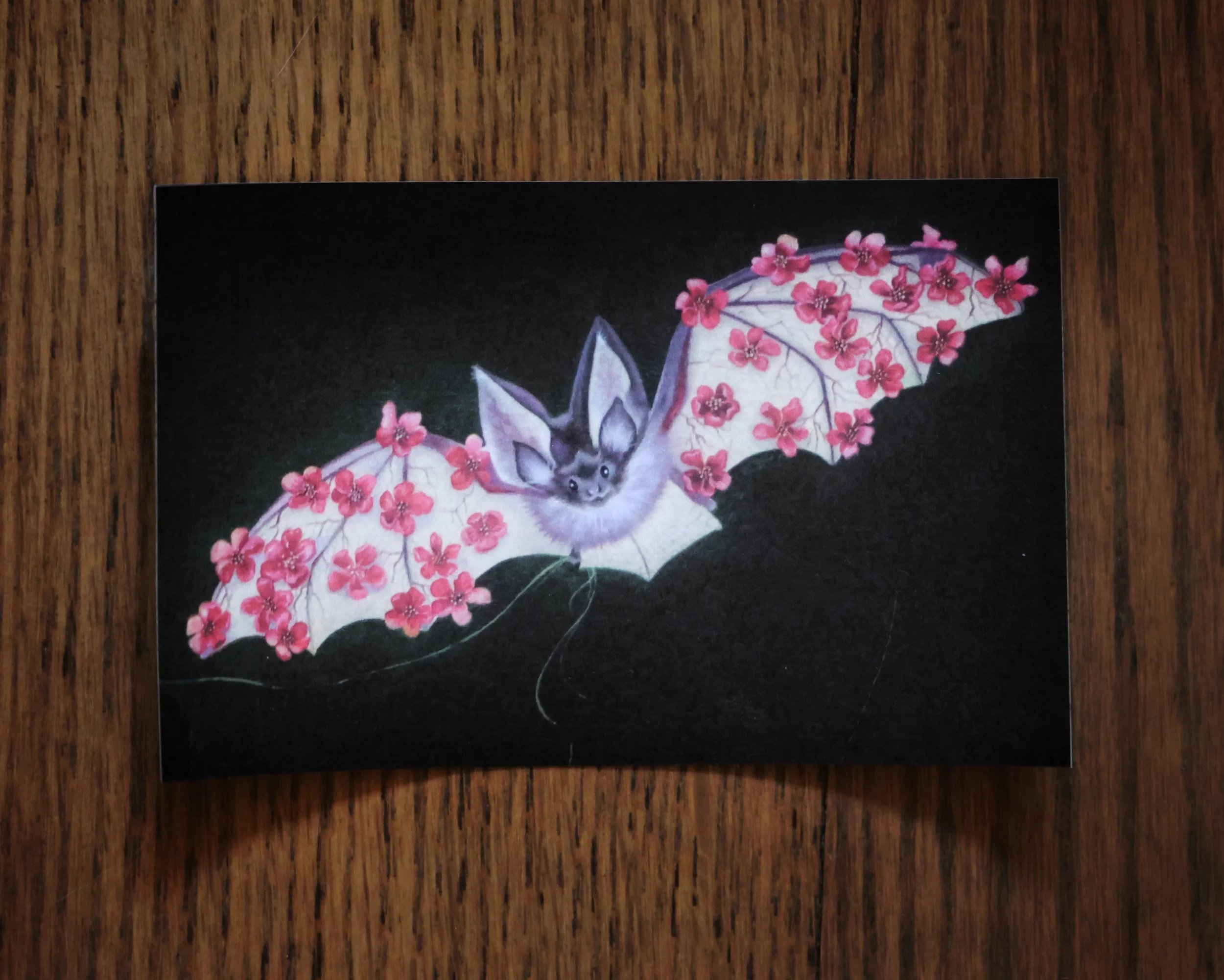 Snail Mail Sticker.jpeg