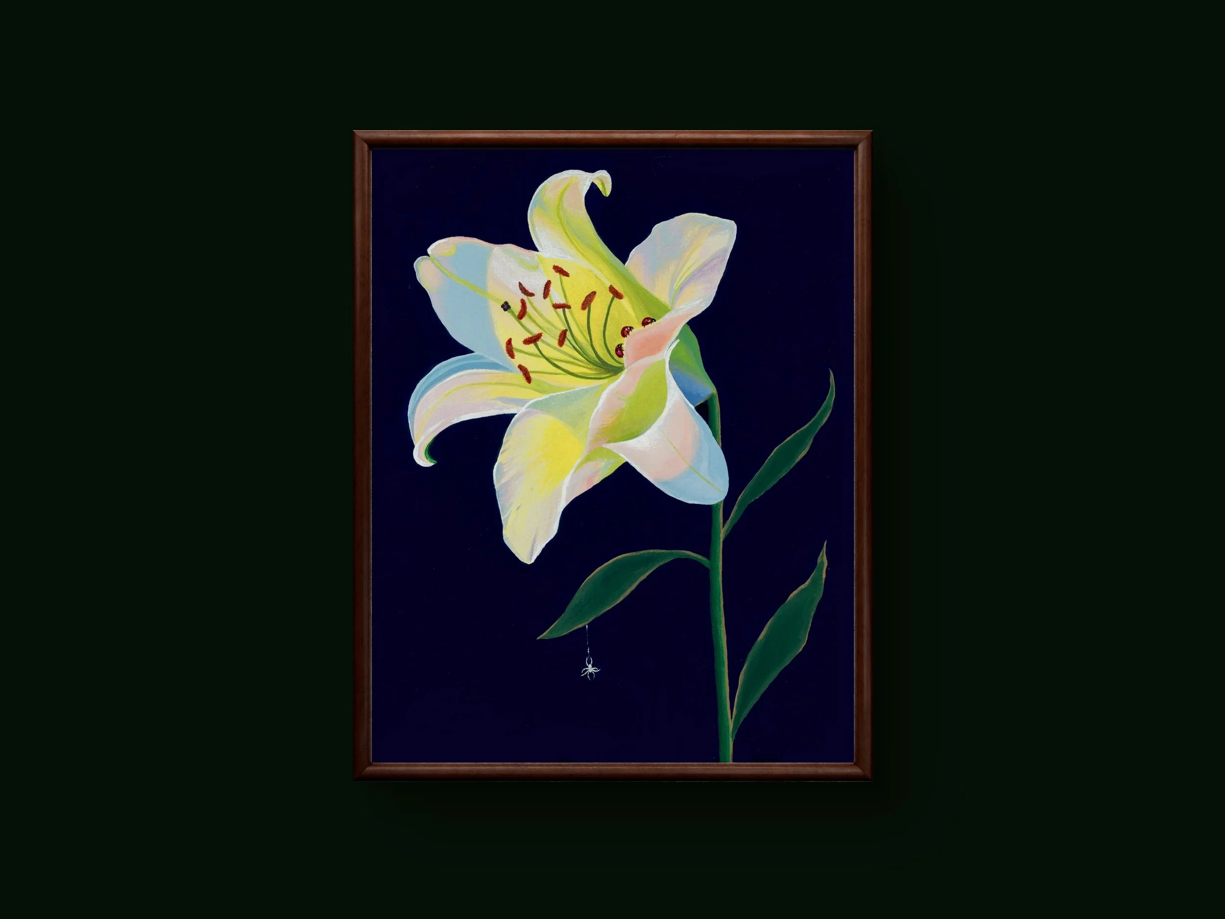 "The Colors of Summer Collection; The Lily," by Sharla Miller-Baer, 2024.  Acrylic on canvas, 11x14.