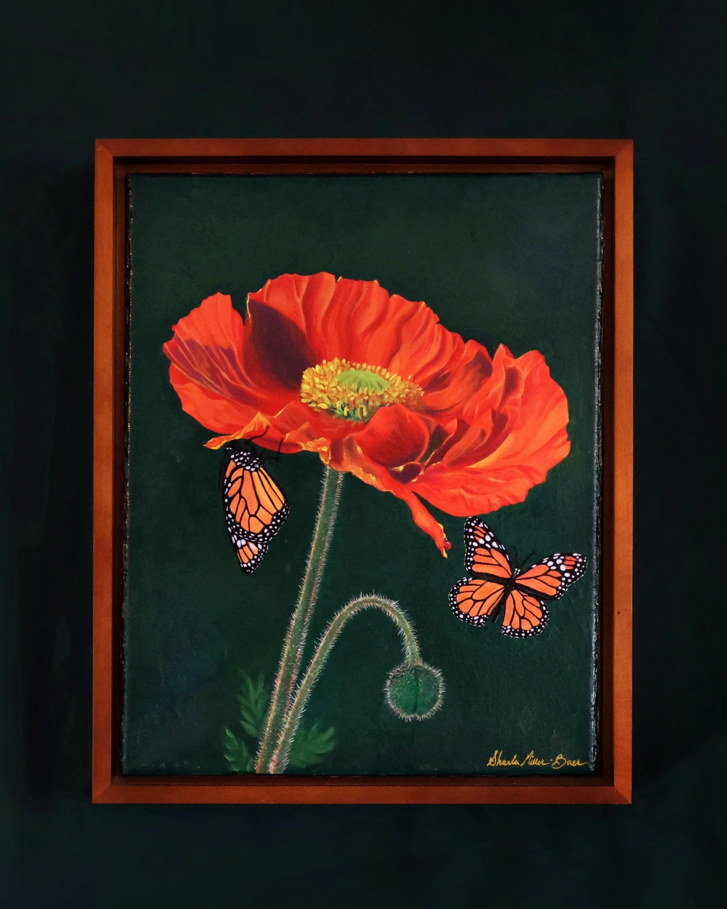 The Poppy Product Image.JPG