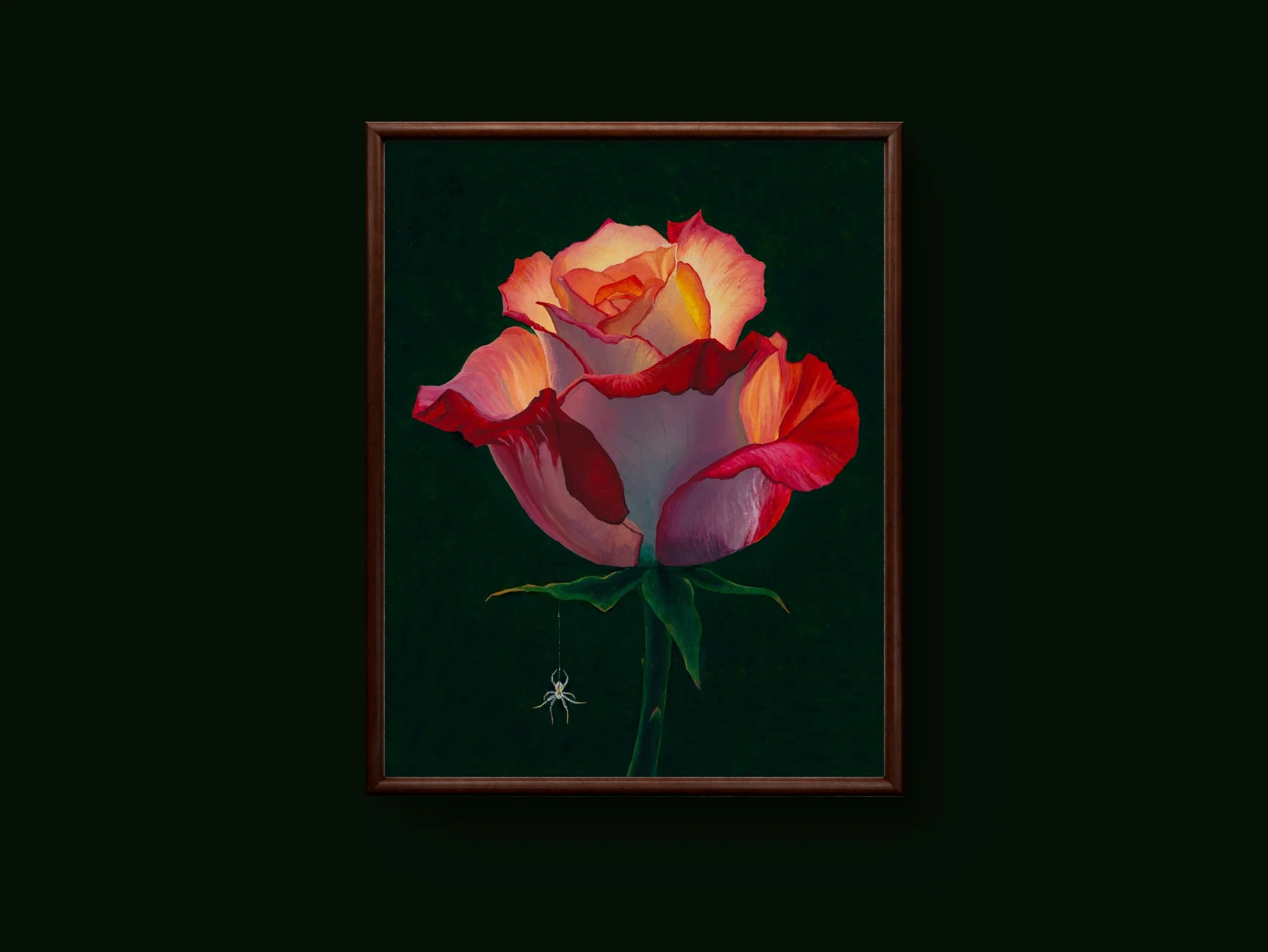 "The Colors of Summer Collection; The Rose" by Sharla Miller-Baer, 2024.  Acrylic on canvas, 11x14.