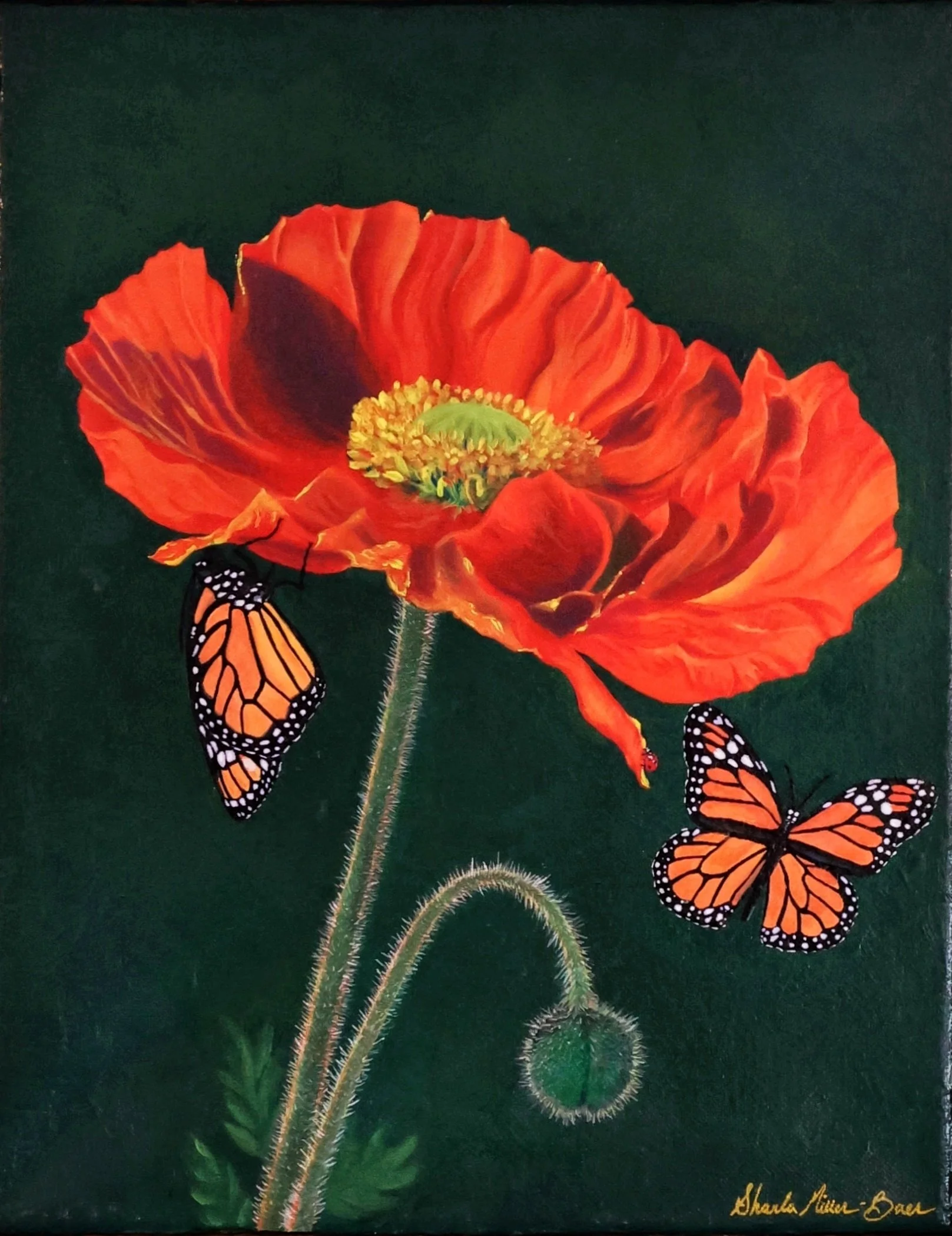 The Poppy Detail Shot.JPG