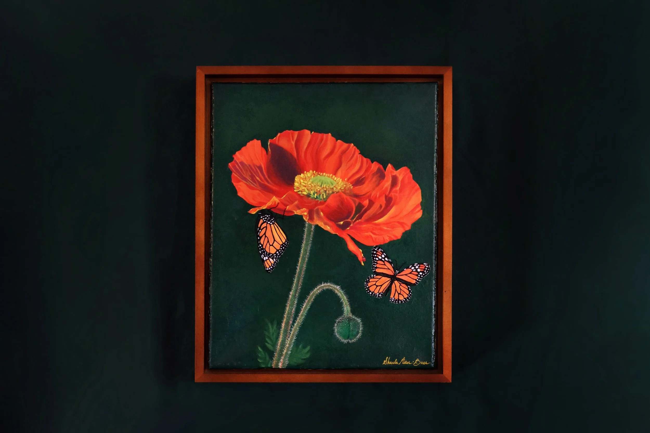 "The Colors of Summer Collection; The Poppy," by Sharla Miller-Baer, 2024. Acrylic on canvas, 11x14.