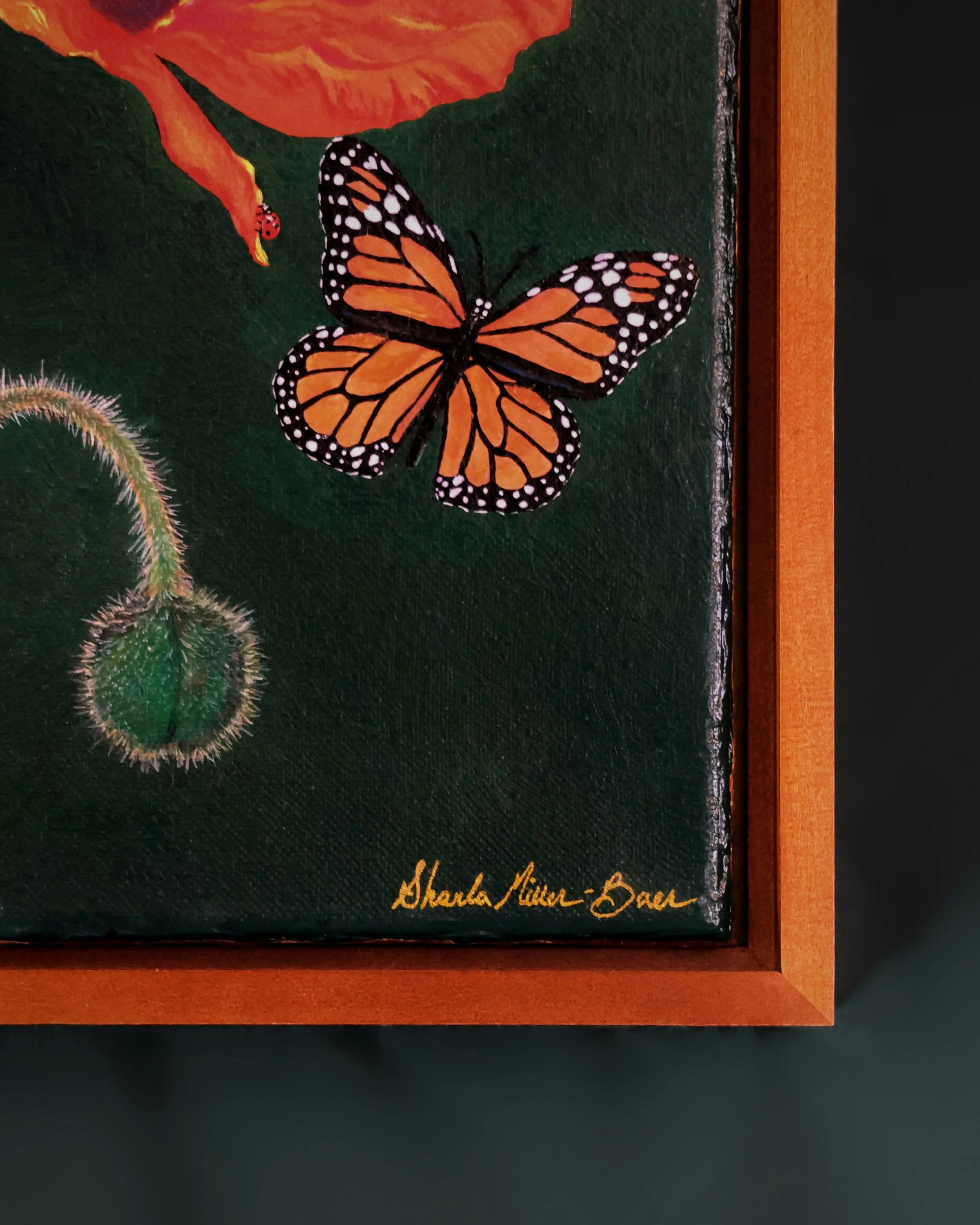 The Poppy Frame Image.JPG