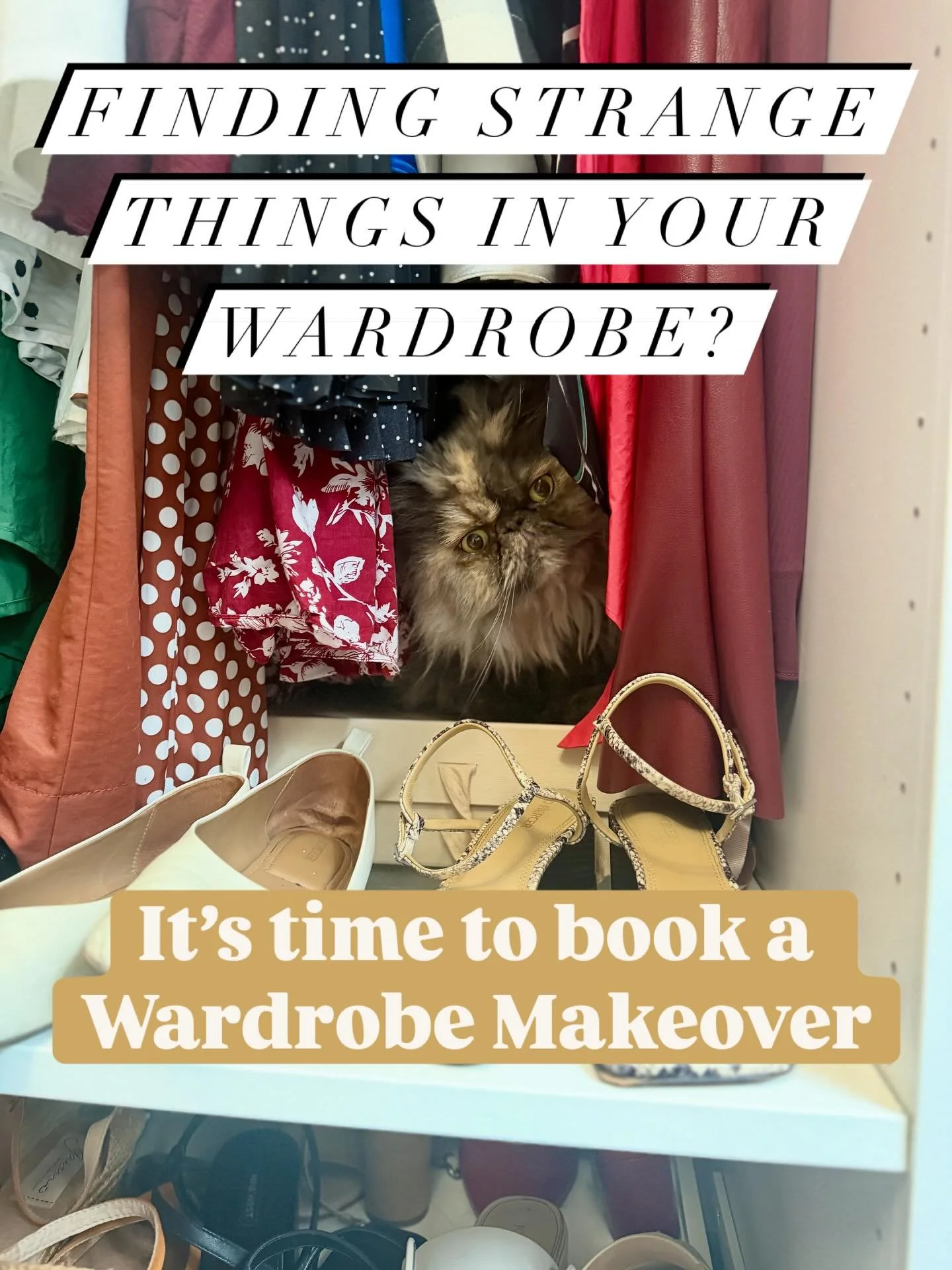 Cats in wardrobes? Yes.
Things you don&rsquo;t wear, like, or fit? No.

Time to get ready for Spring and book a Wardrobe Makeover. Find your best colours, work with what you&rsquo;ve got in your closet and find out what&rsquo;s missing. 😍

Link in b
