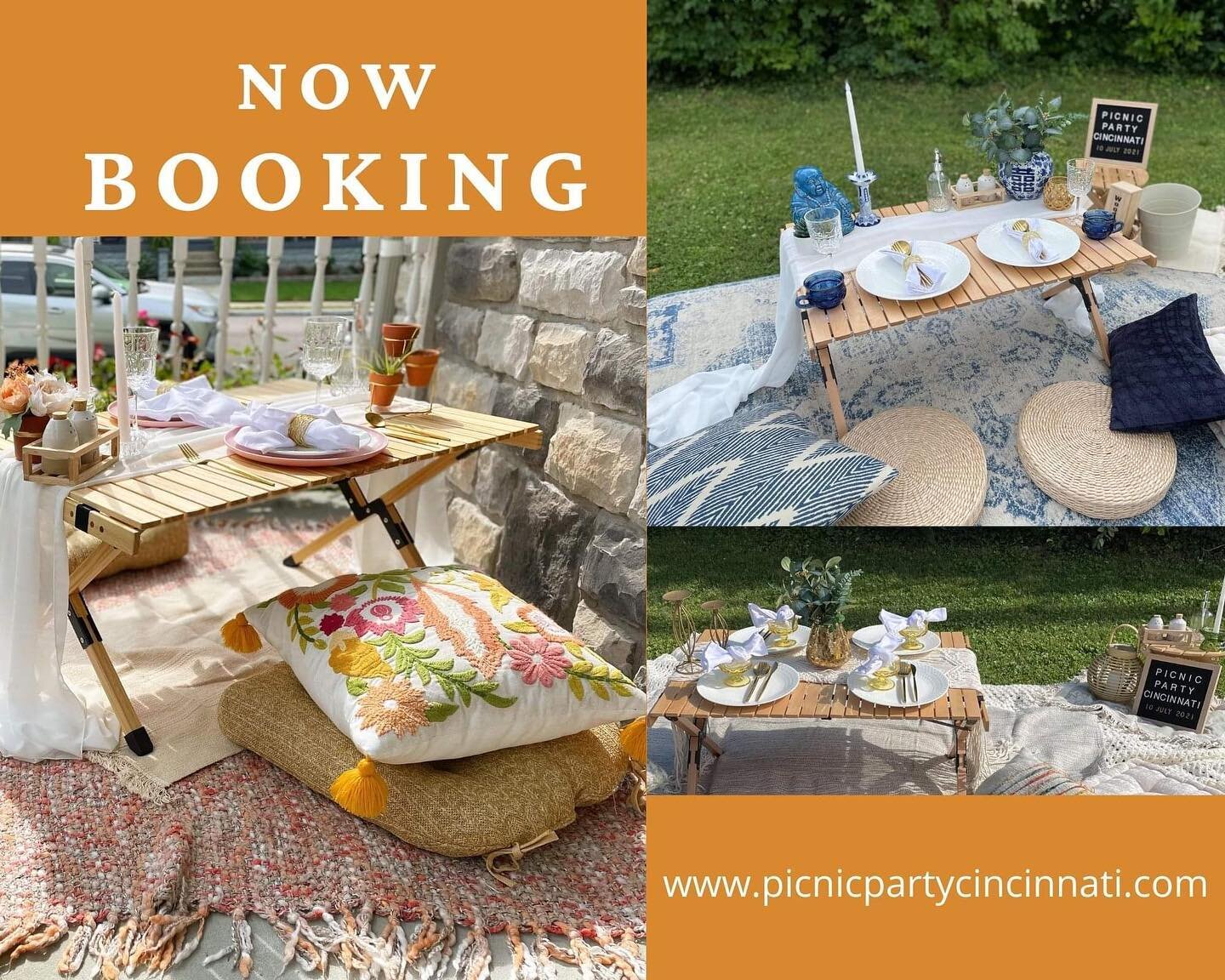 IT&rsquo;S TIME! Website and bookings are live! Be sure to check out picnicpartycincinnati.com to reserve your picnic today!