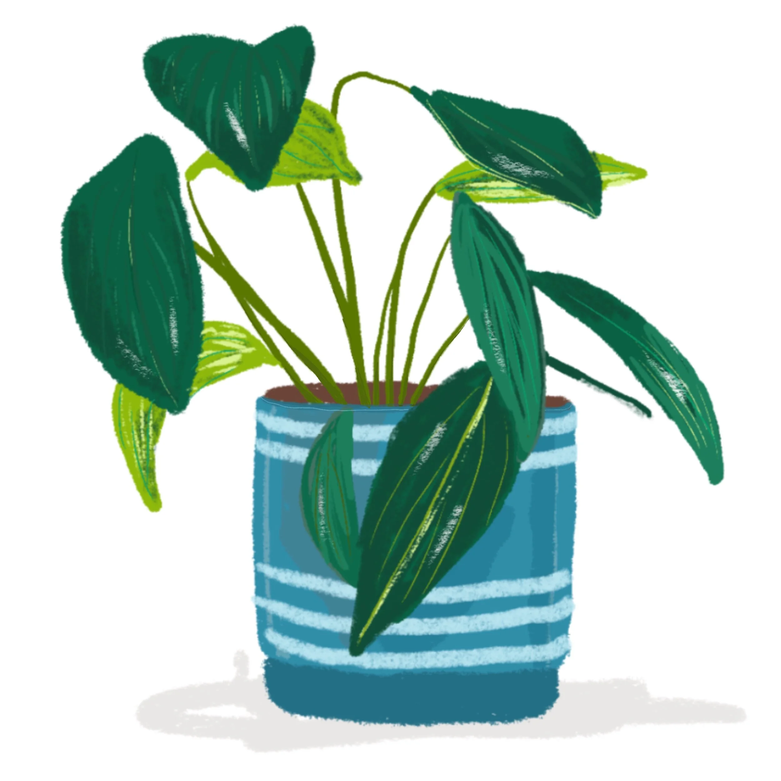 Blue Pot Plant Large.jpg