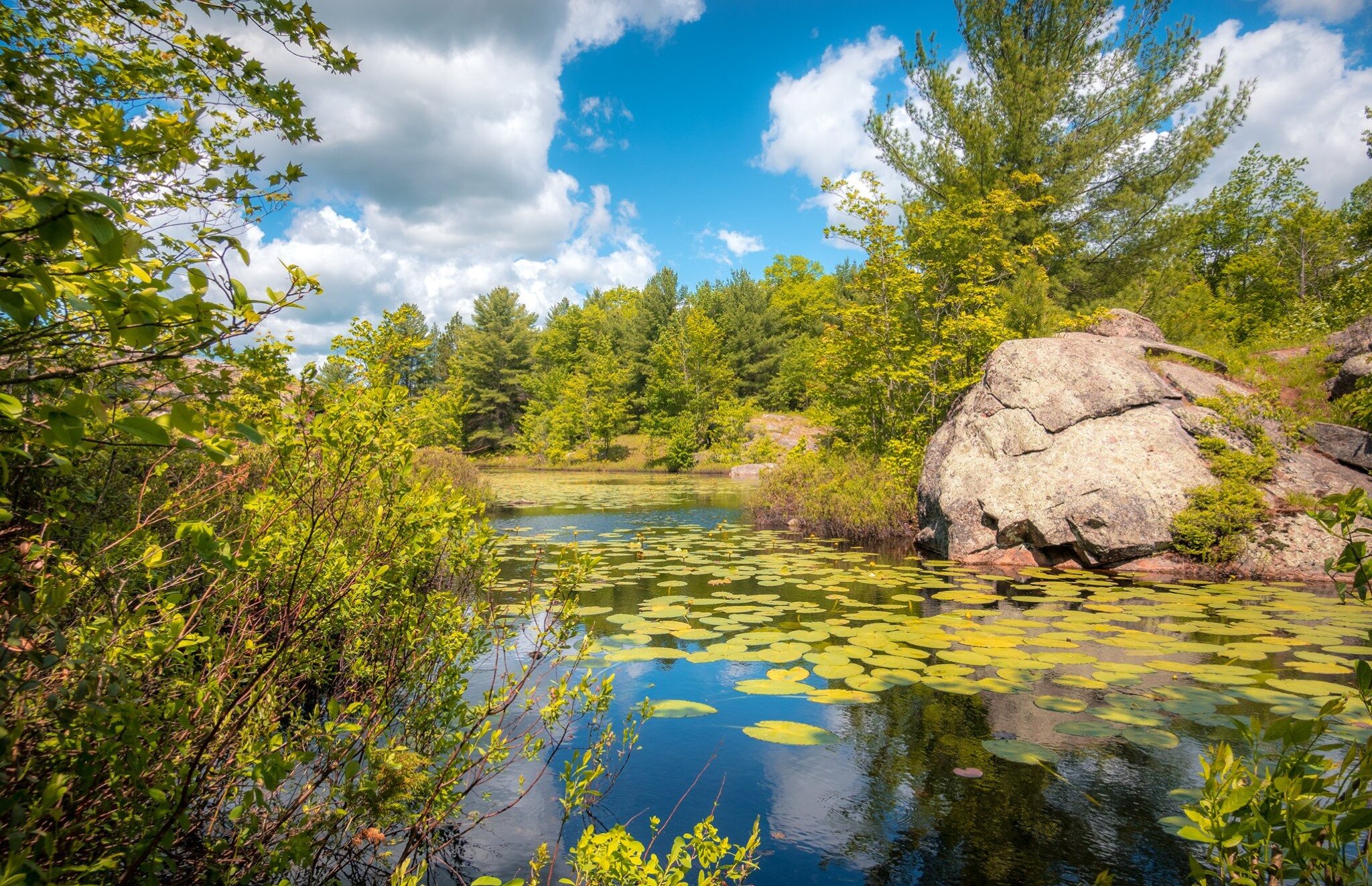 Queen Elizabeth II Wildlands Provincial Park