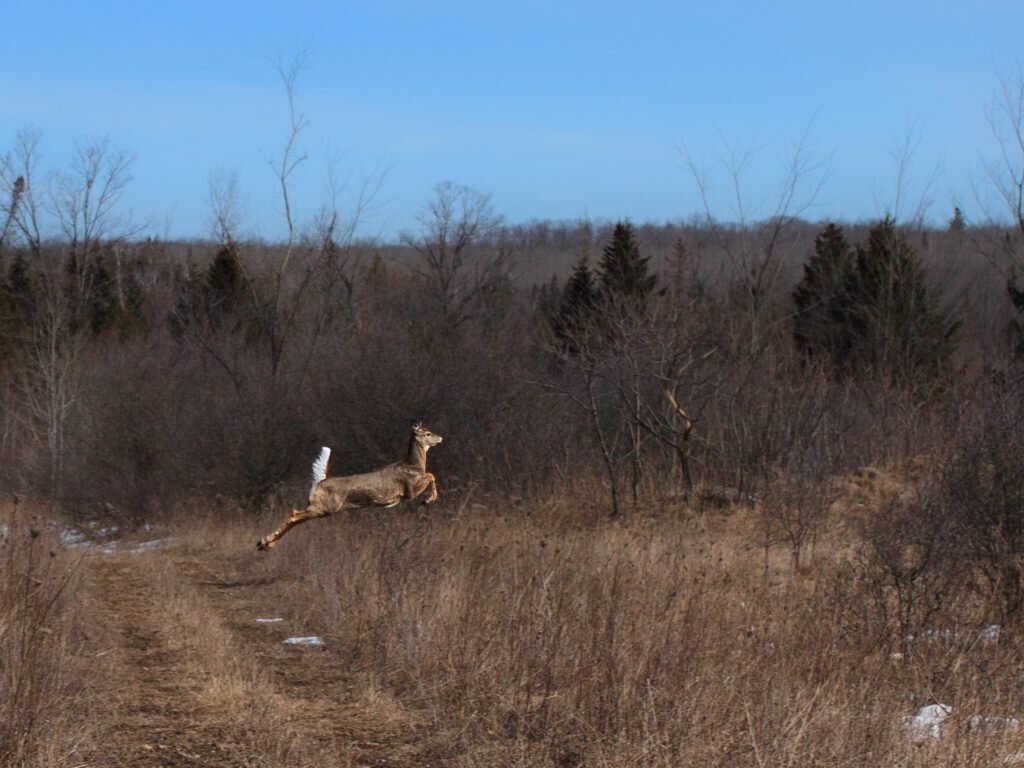 Cation Wildlife Preserve