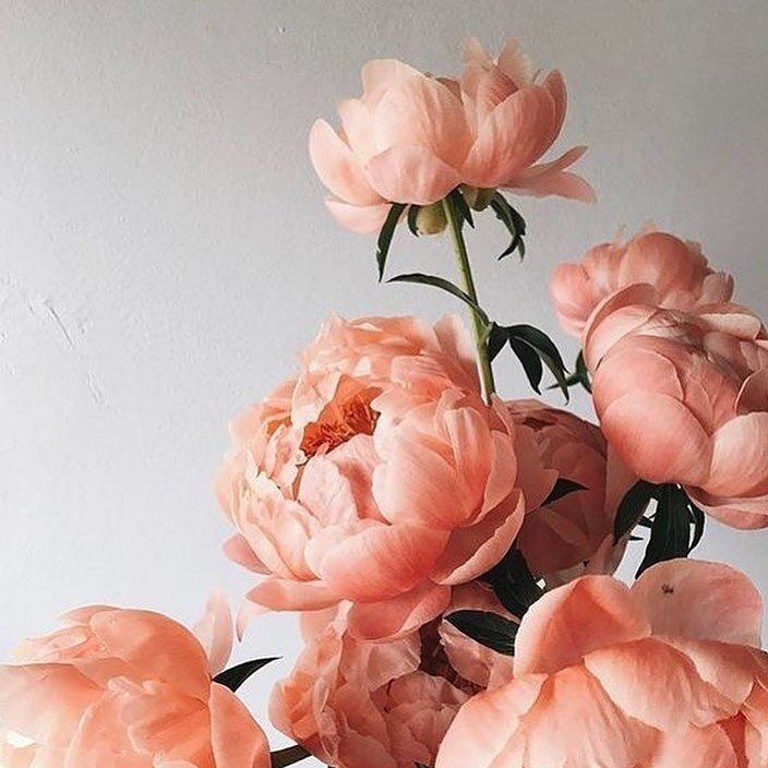 VIRTUAL FLOWERS &amp; CYBER HUGS 🤍💕💐
⠀⠀⠀⠀⠀⠀⠀⠀⠀
Sending love and strength out to those who need it right now! 
⠀⠀⠀⠀⠀⠀⠀⠀⠀
With lockdowns harshing our buzz across the country, we're all in need of a little bit of care and support right now.
⠀⠀⠀⠀⠀⠀⠀⠀⠀