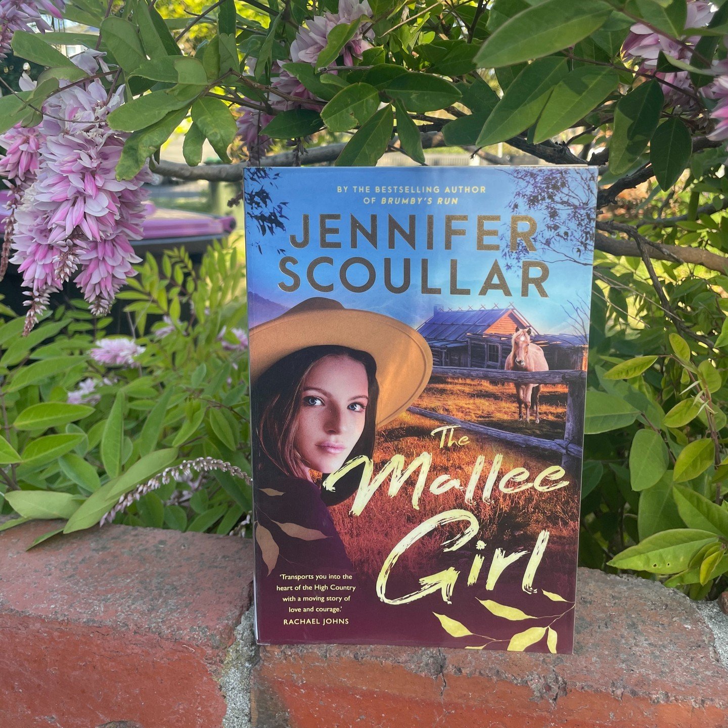Armed with nothing but some loose change and her beloved dog Duke, Mallee girl Pippa Black has finally found the courage she needs to escape a dangerous relationship. Two cryptic words written on a paper napkin send her in search of the one person wh
