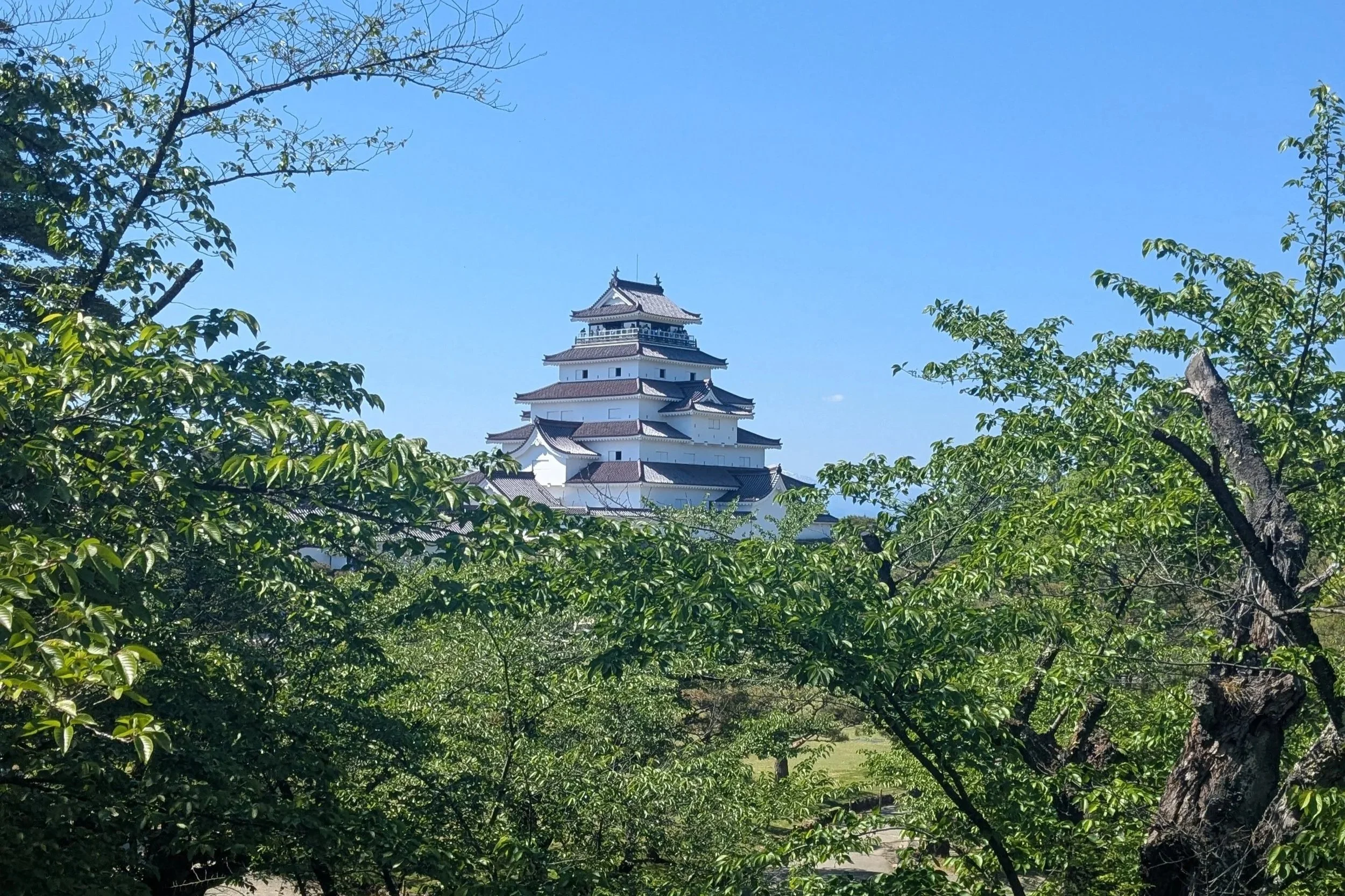 Tsuragajo, Aizu Wakamatsu - Molly Noble