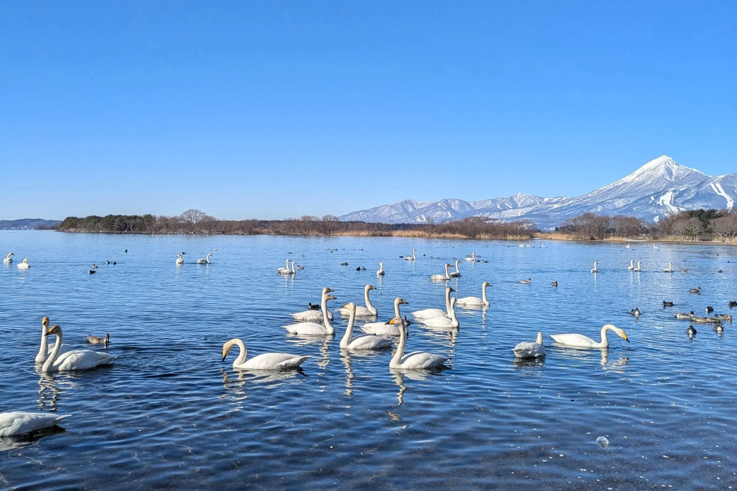 Lake Inawashiro - Molly Noble