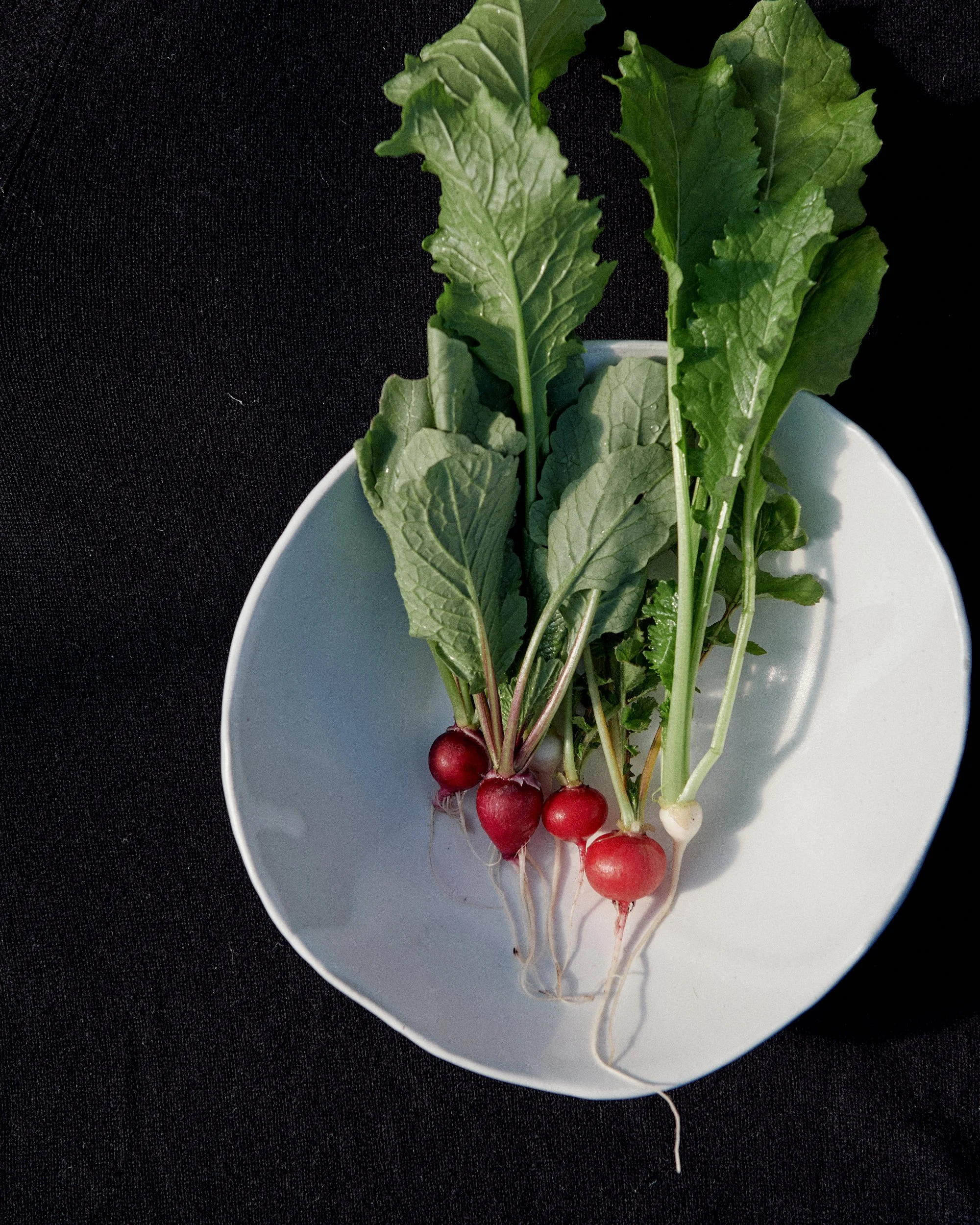 230626_NewcastleGreens_0539.jpg