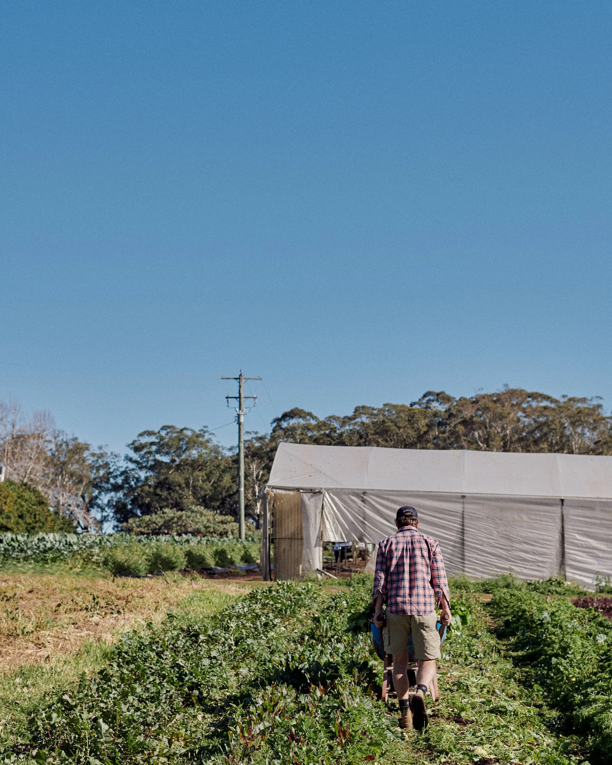 230626_NewcastleGreens_0405.jpg
