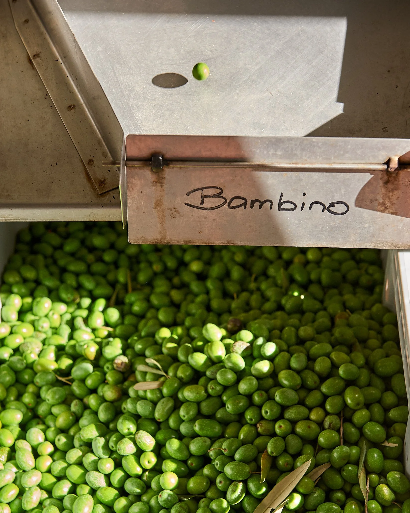 190408_Westerly_062 2.jpg