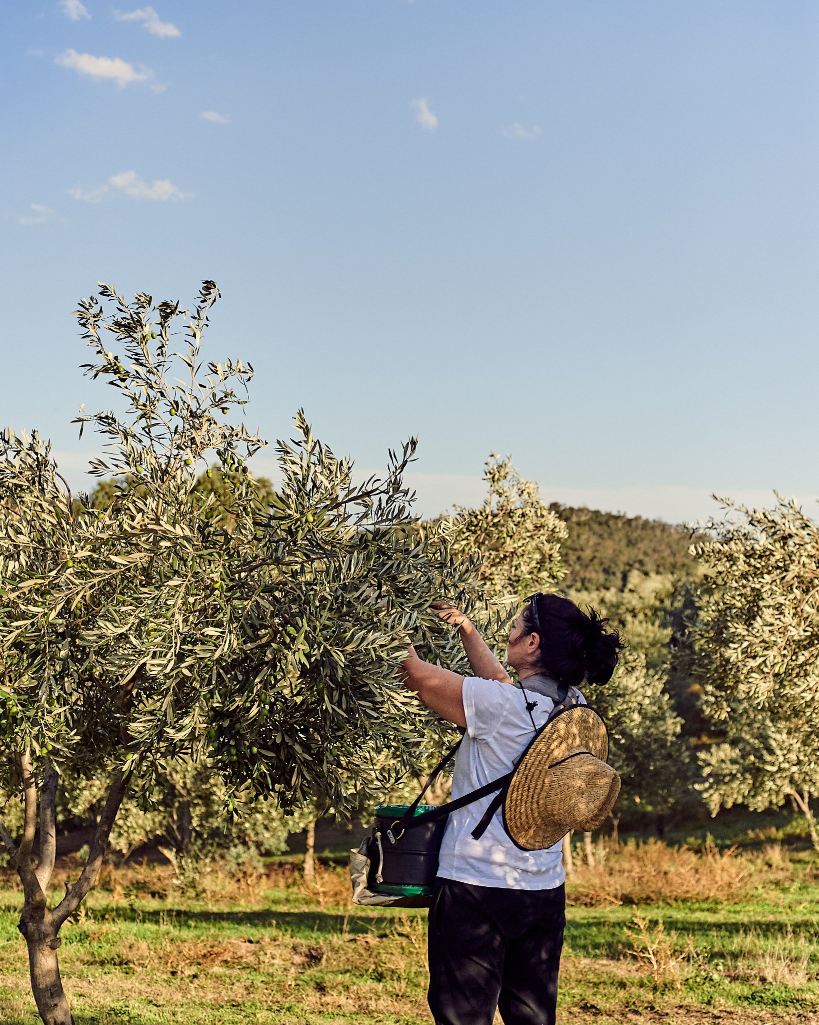 190408_Westerly_202 1.jpg