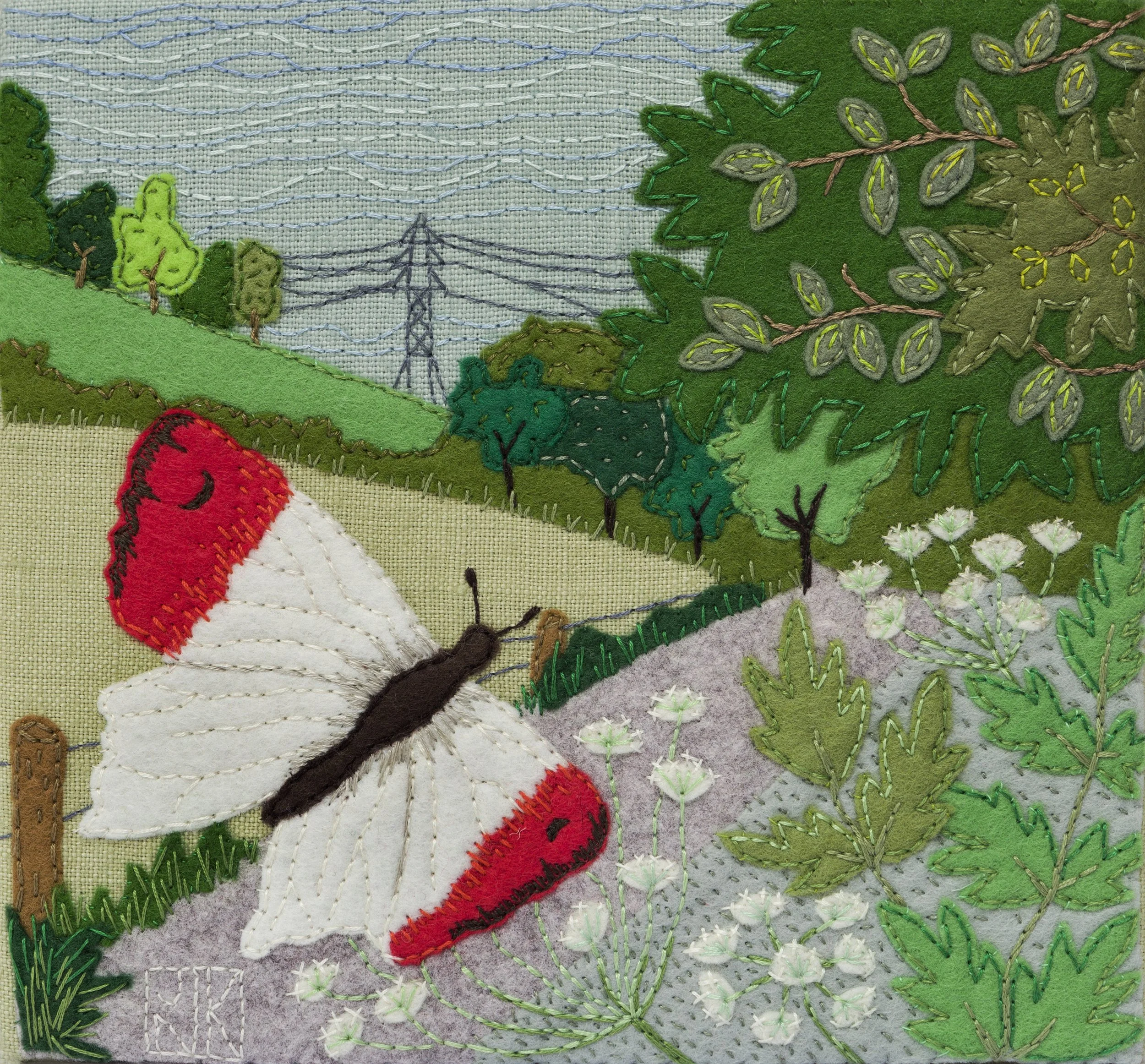 Orange-tip Butterfly.jpg