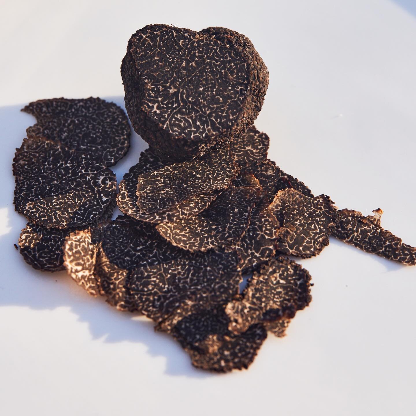 CELEBRATING TRUFFLE SEASON, WITH @COOMERTRUFFLES

LETS EAT@MISCUSIFOOD.COM.AU

#MISCUSI #MISCUSIFOOD