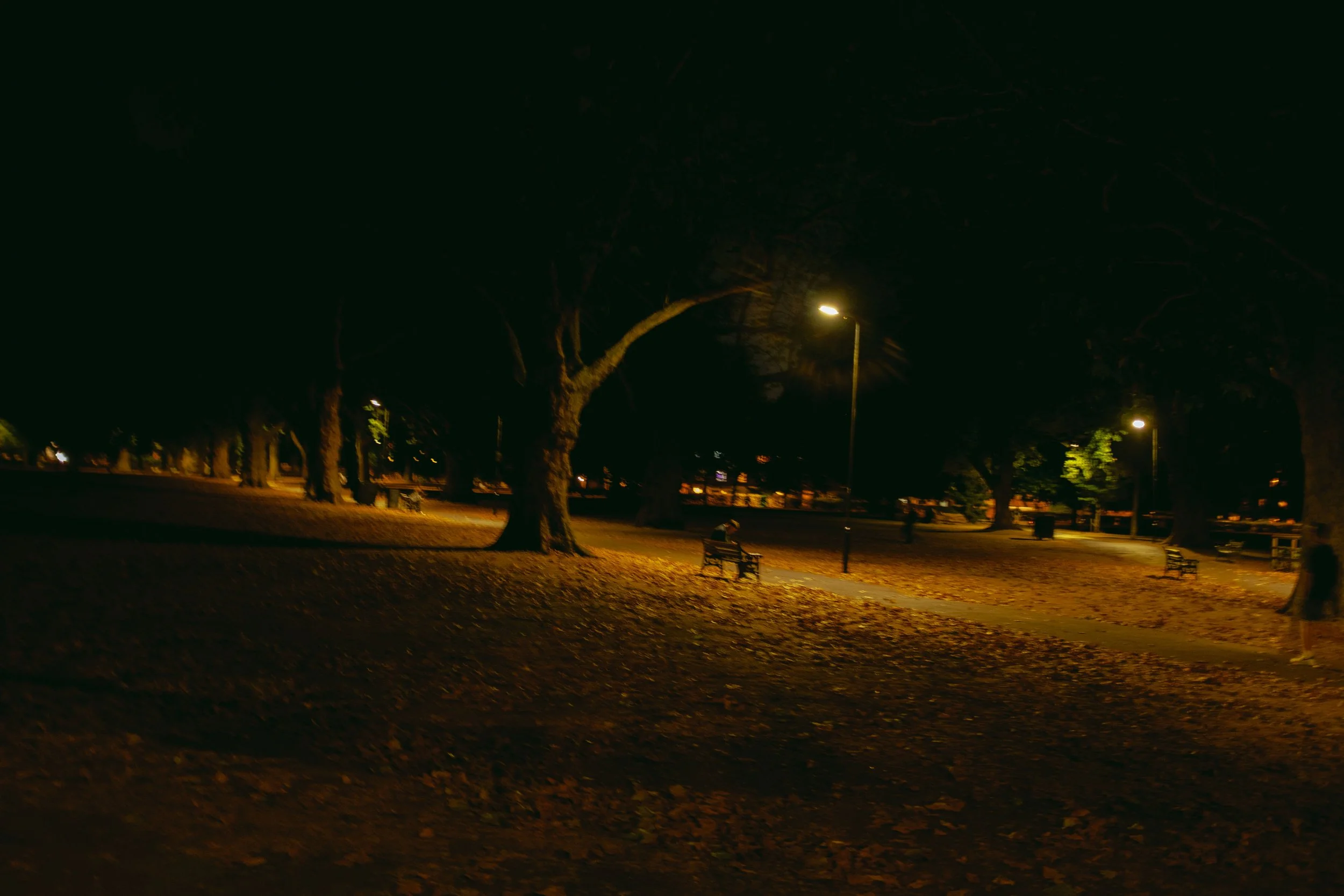 _DSF7618.jpg