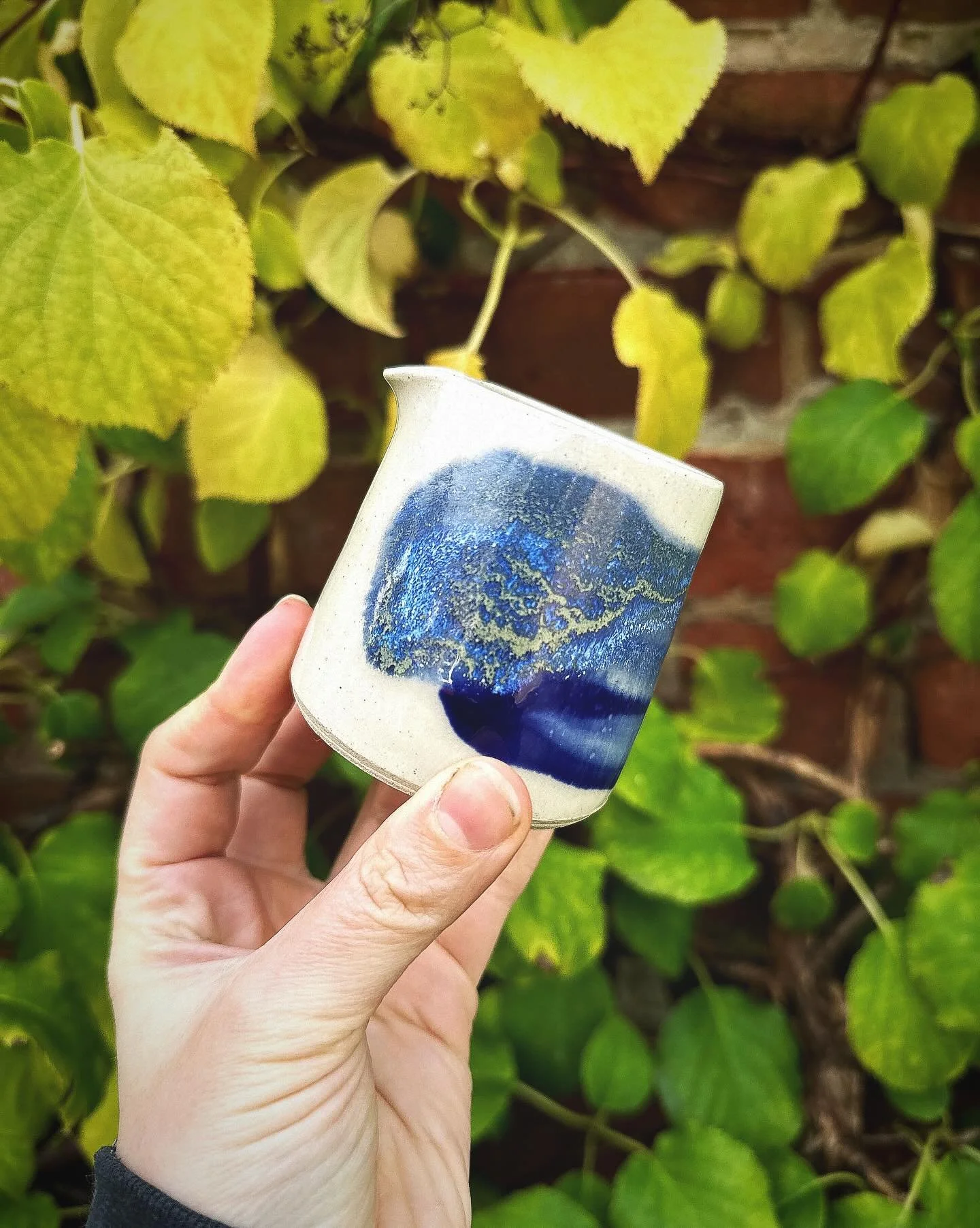 I love autumn, it upsets me sometimes that there&rsquo;s so much enthusiasm for Christmas at the end of the year that it really is the season that gets lost. Autumn leaves are always so beautiful, taking a few photos outside this time. #handmade #han