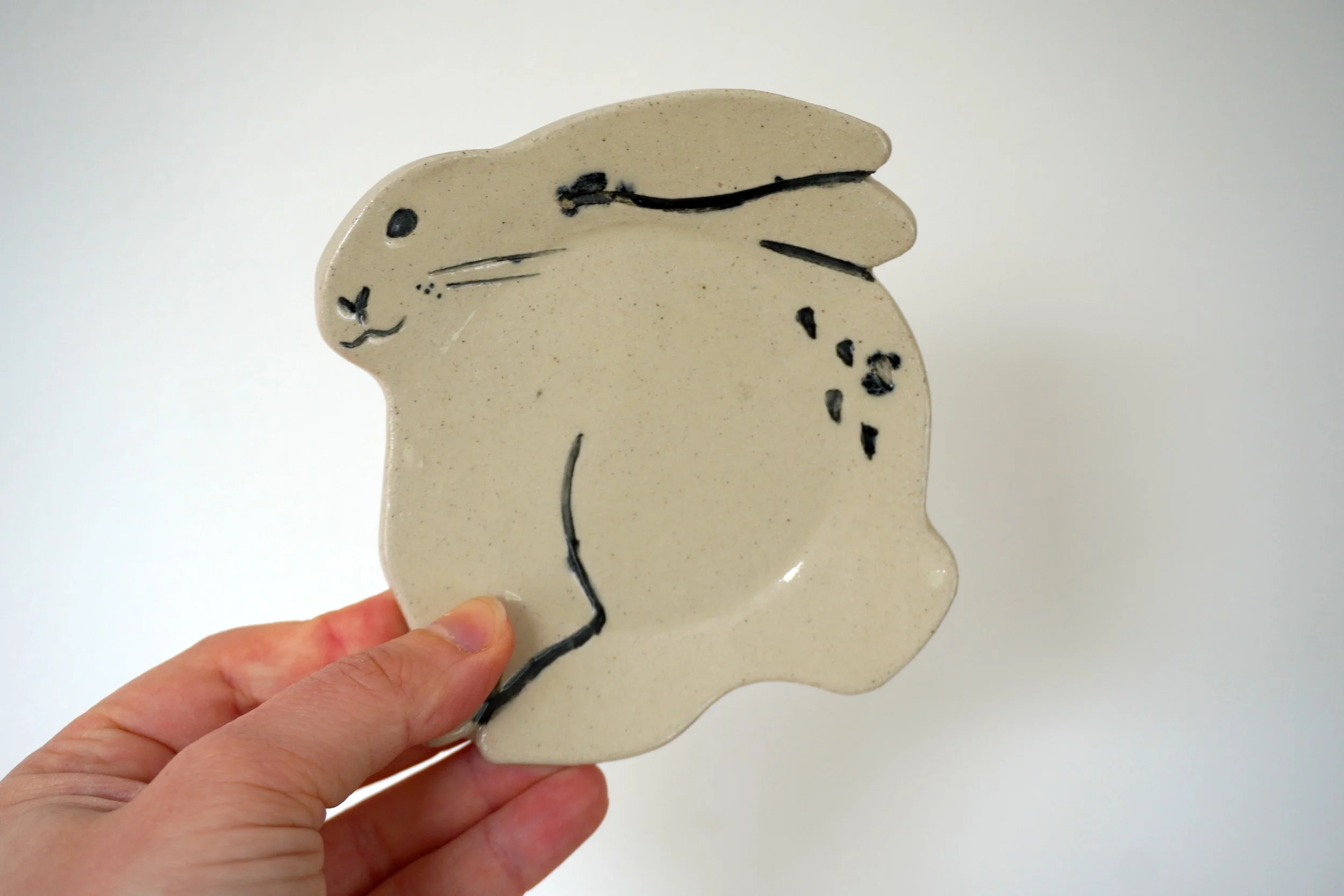 rabbits-11.jpg