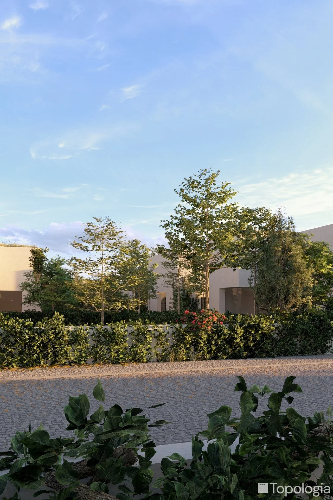 Sagres Proj WM 10.jpg