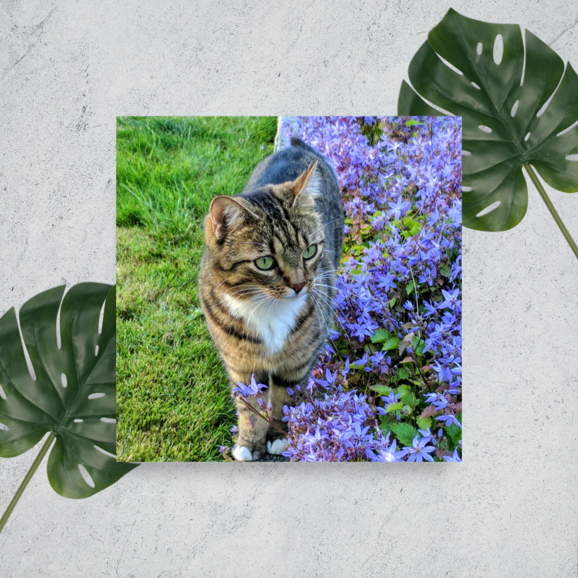 enhanced-matte-paper-poster-(in)-10x10-front-6439915031627.jpg