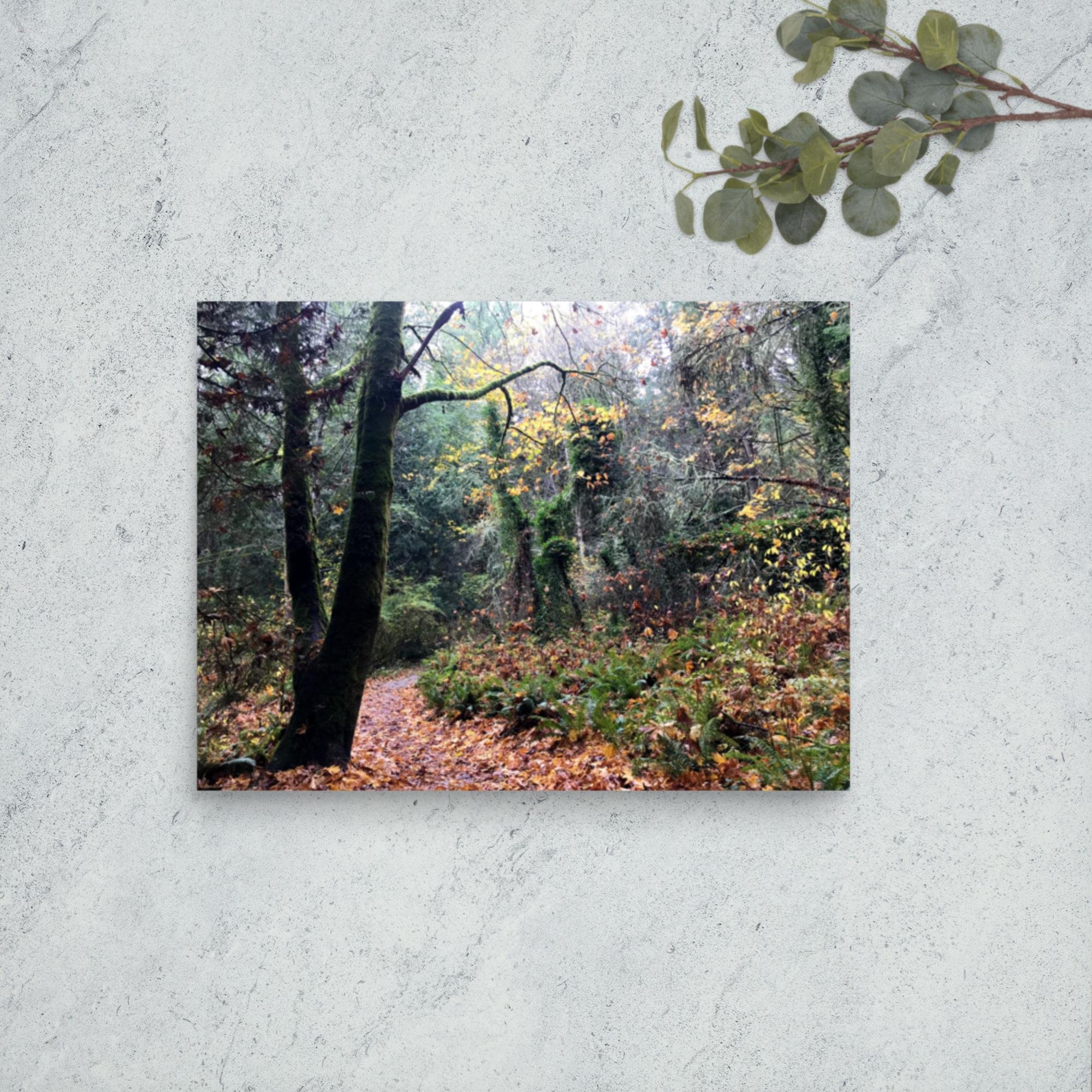 enhanced-matte-paper-poster-(in)-12x16-front-643991f1a0da6.jpg