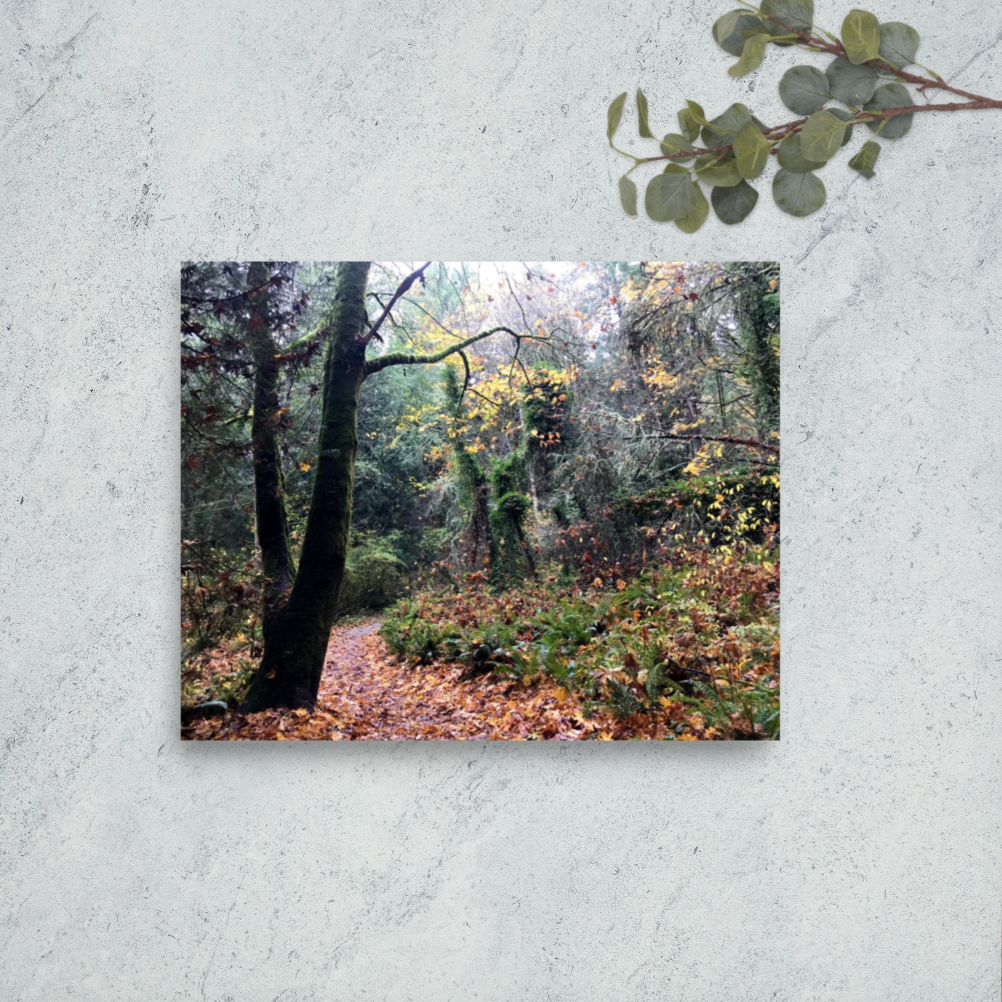 enhanced-matte-paper-poster-(in)-8x10-front-643991f1a3953.jpg