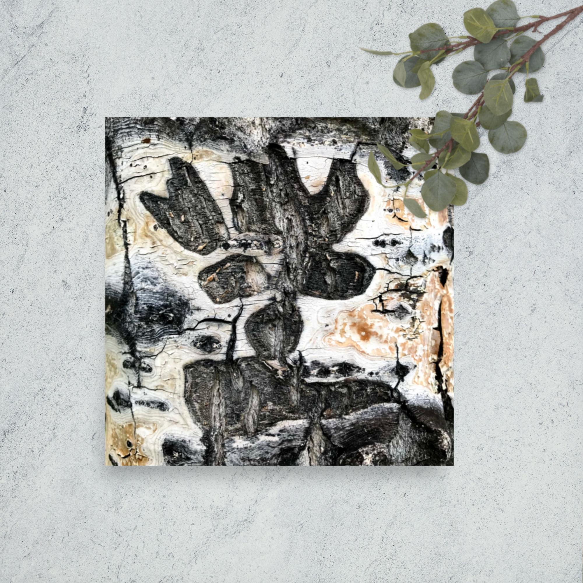 enhanced-matte-paper-poster-(in)-14x14-front-64399240836e8.jpg