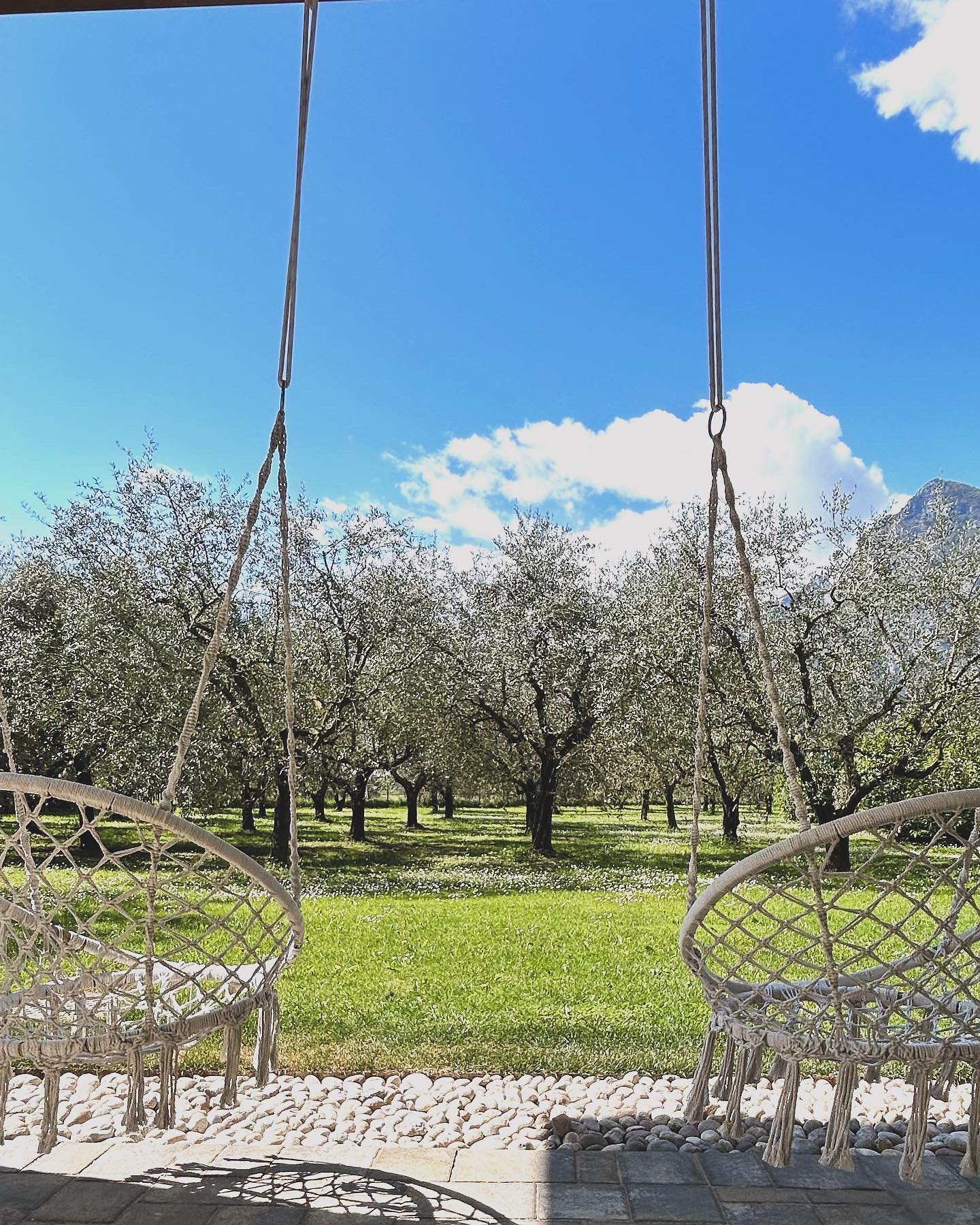Do you dream of a wedding amidst nature and beauty of olive groves surrounded by mountains and vineyards with only the tweeting of birds to be heard this could be your dream wedding location ! For more information contact me and take a look at our be