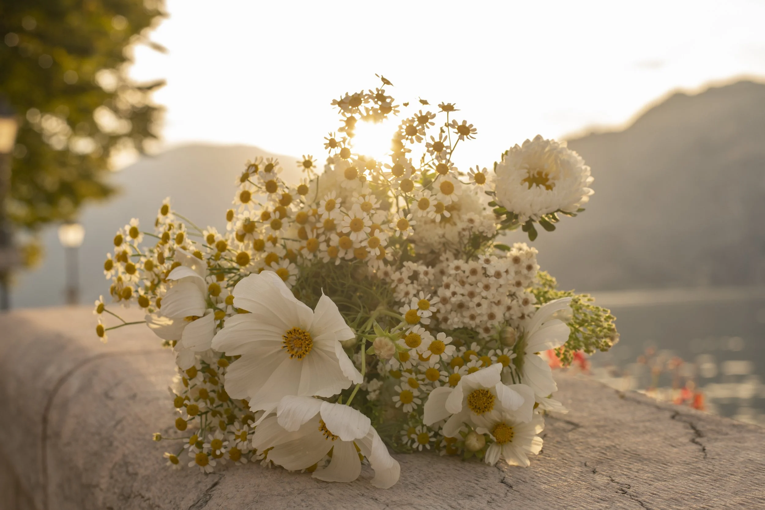 Chloe and David-5.jpg