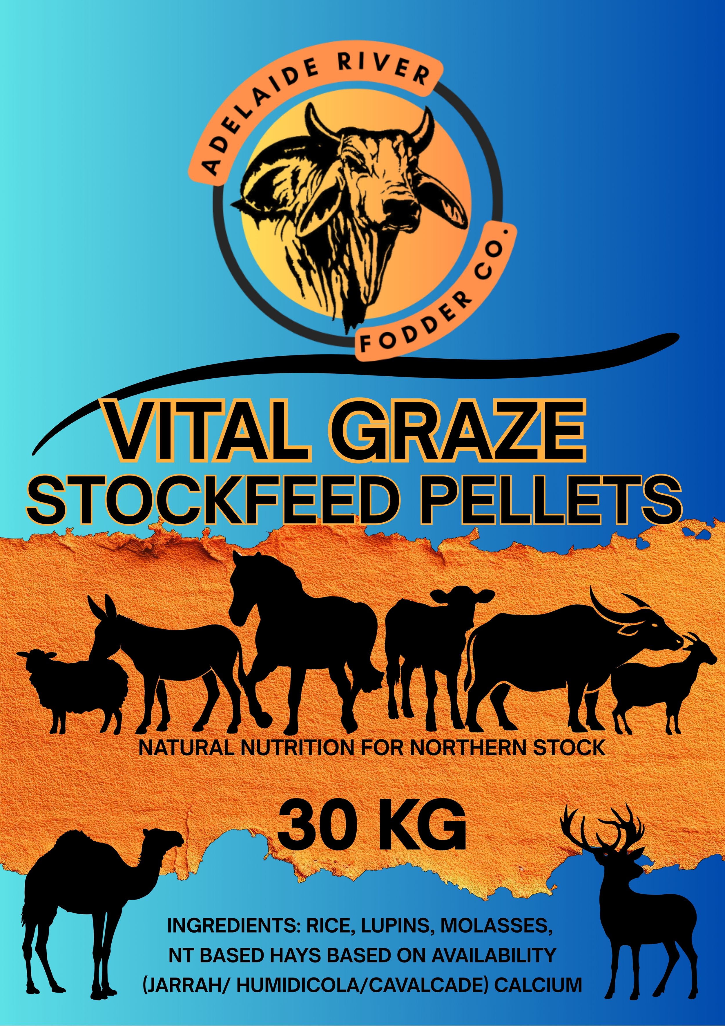 ARFVITALGRAZEFLYER.jpg