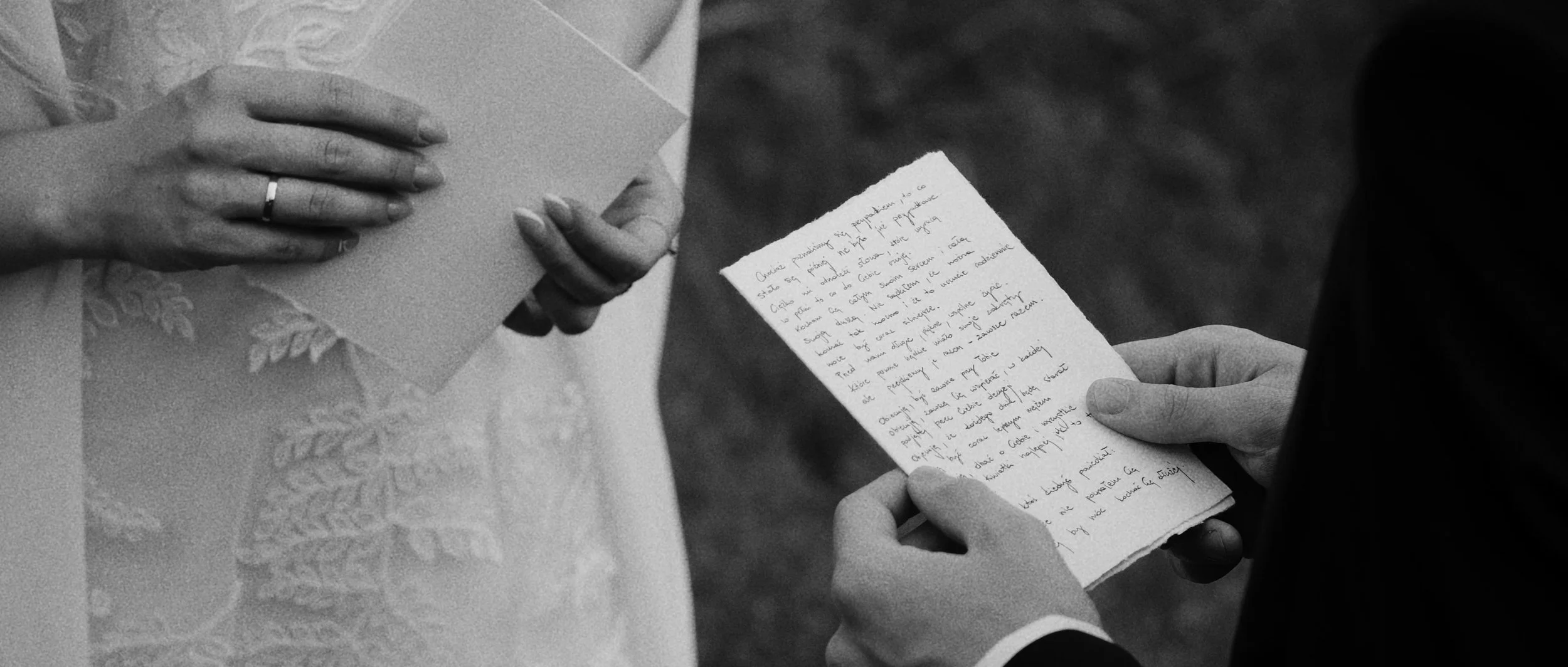 Still 2026-02-15 184045_1.24.1.jpg