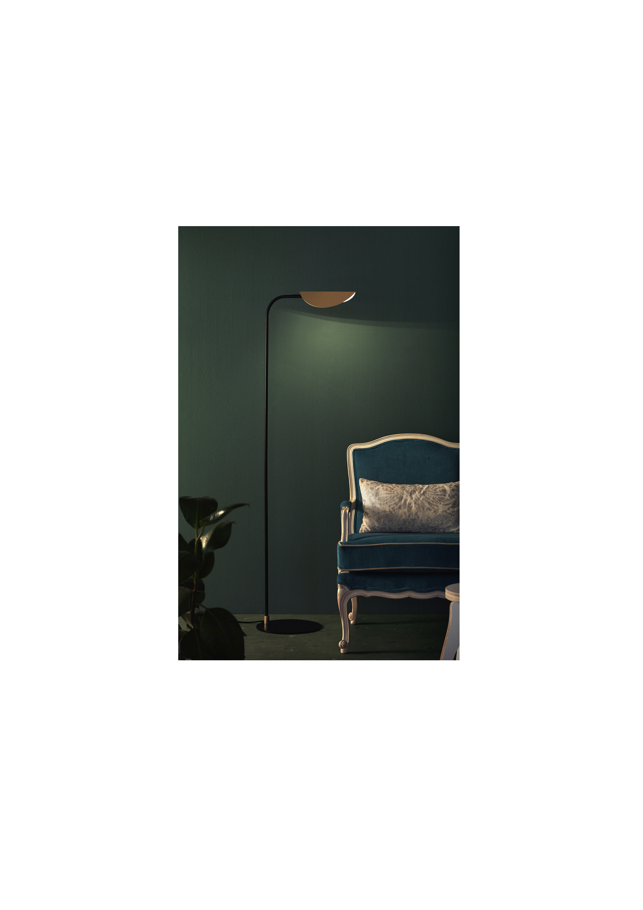 FICUS_02.png